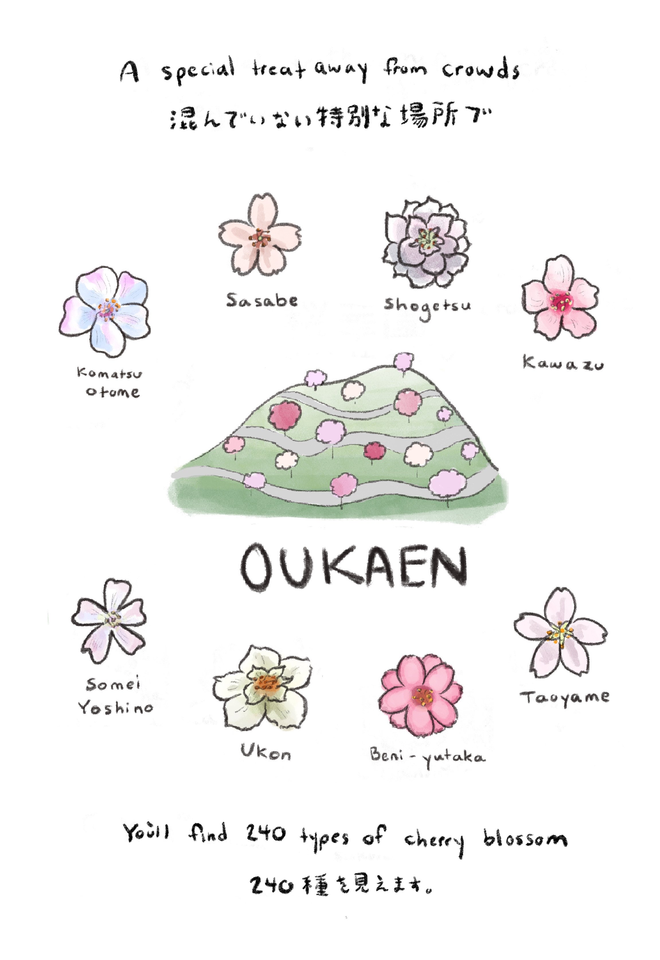 Untitled_Artwork 1.jpg