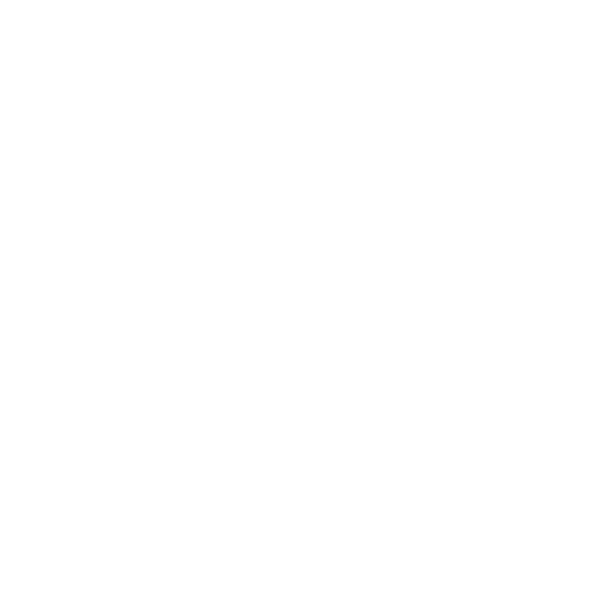 Virtual CISO Leadership