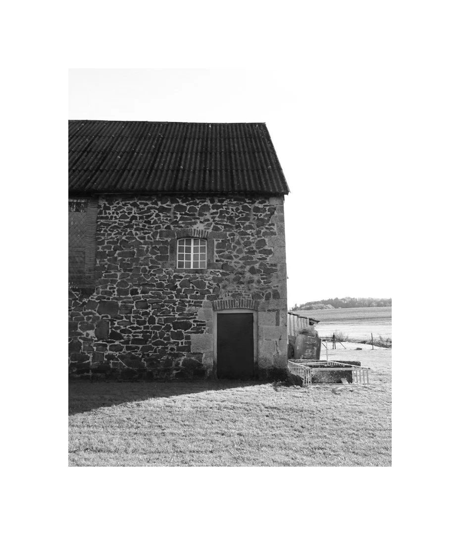 Bestand Nord | vorher