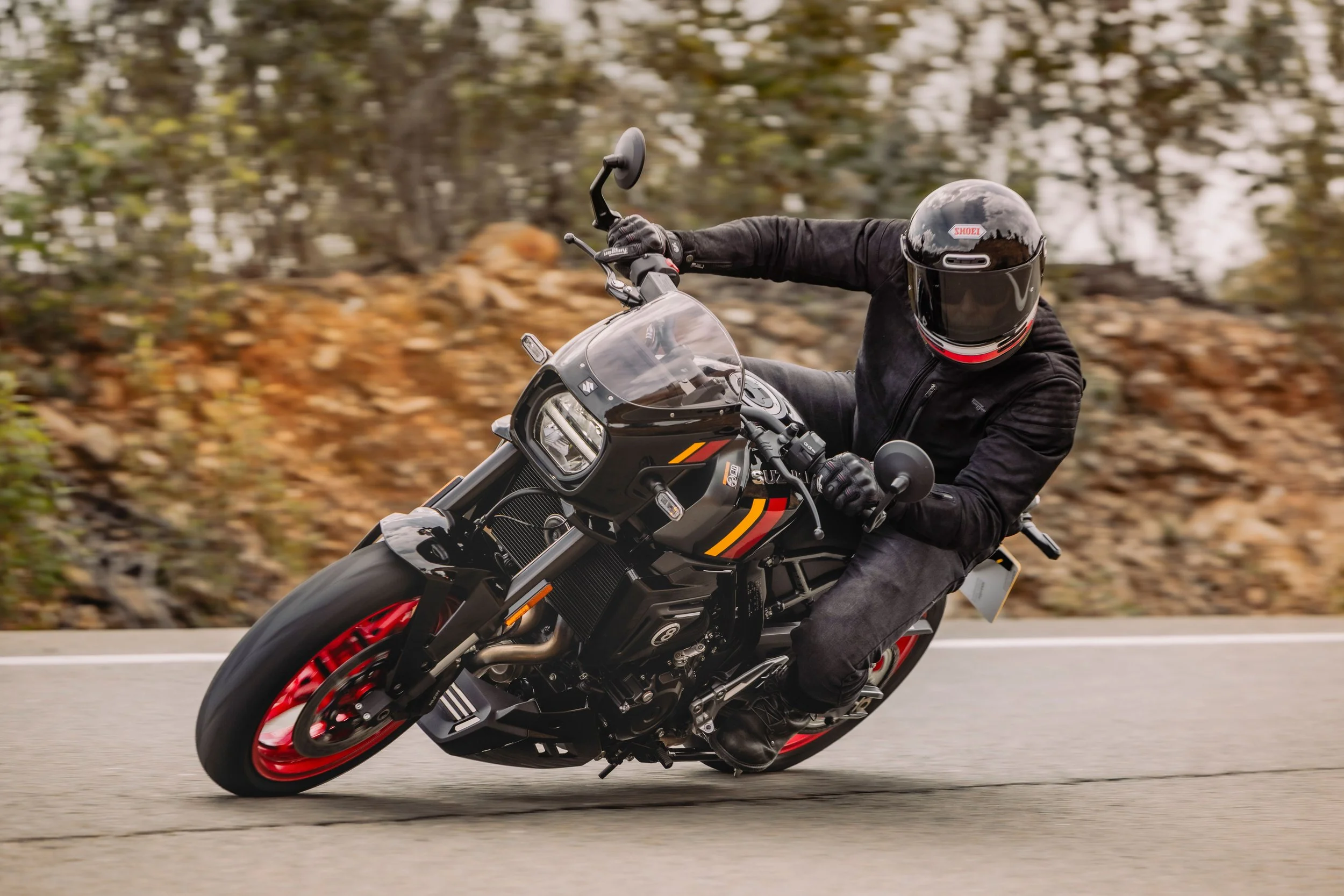 Suzuki-800TT-T-6189.JPG