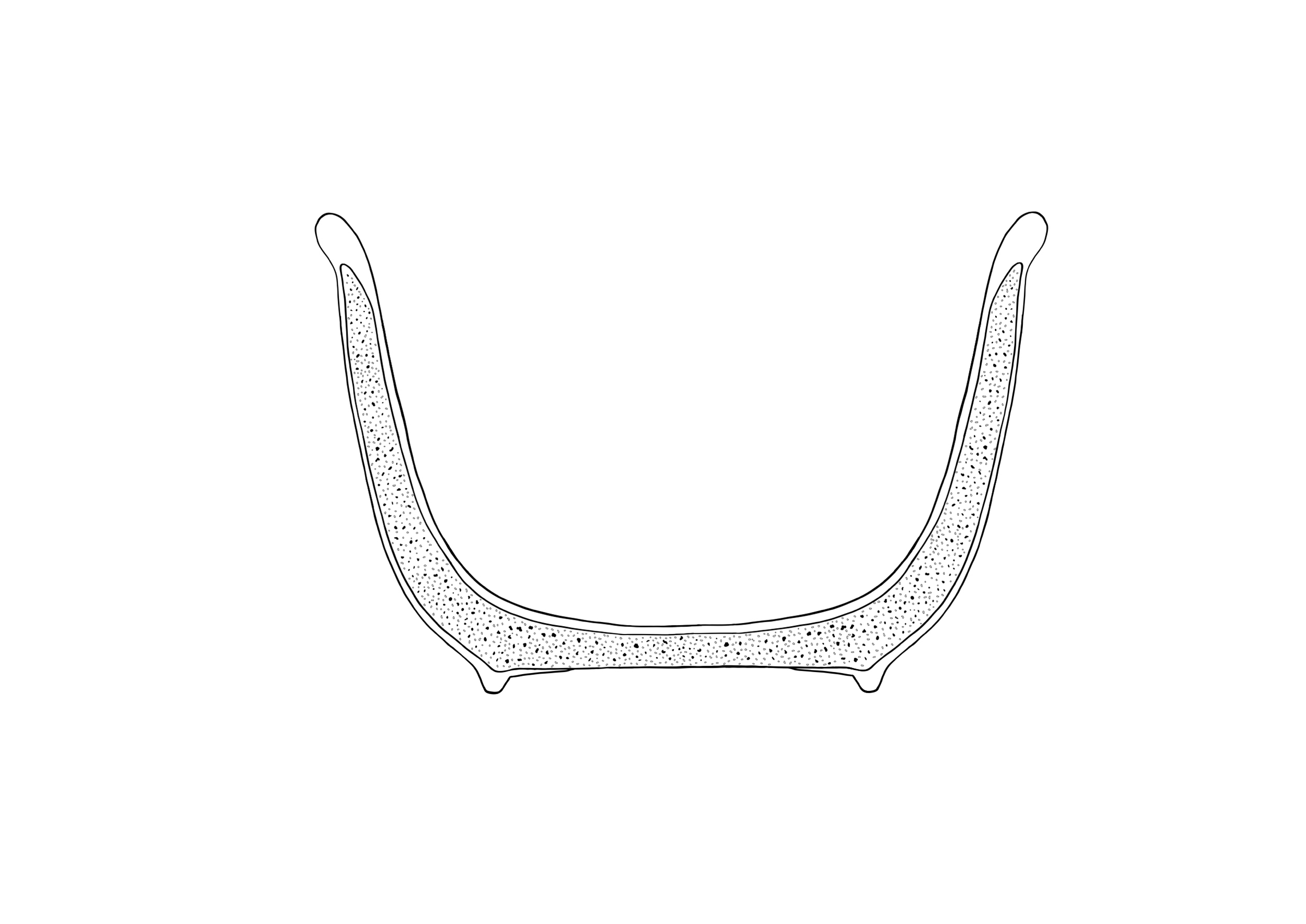 Cup cross section sketch.png