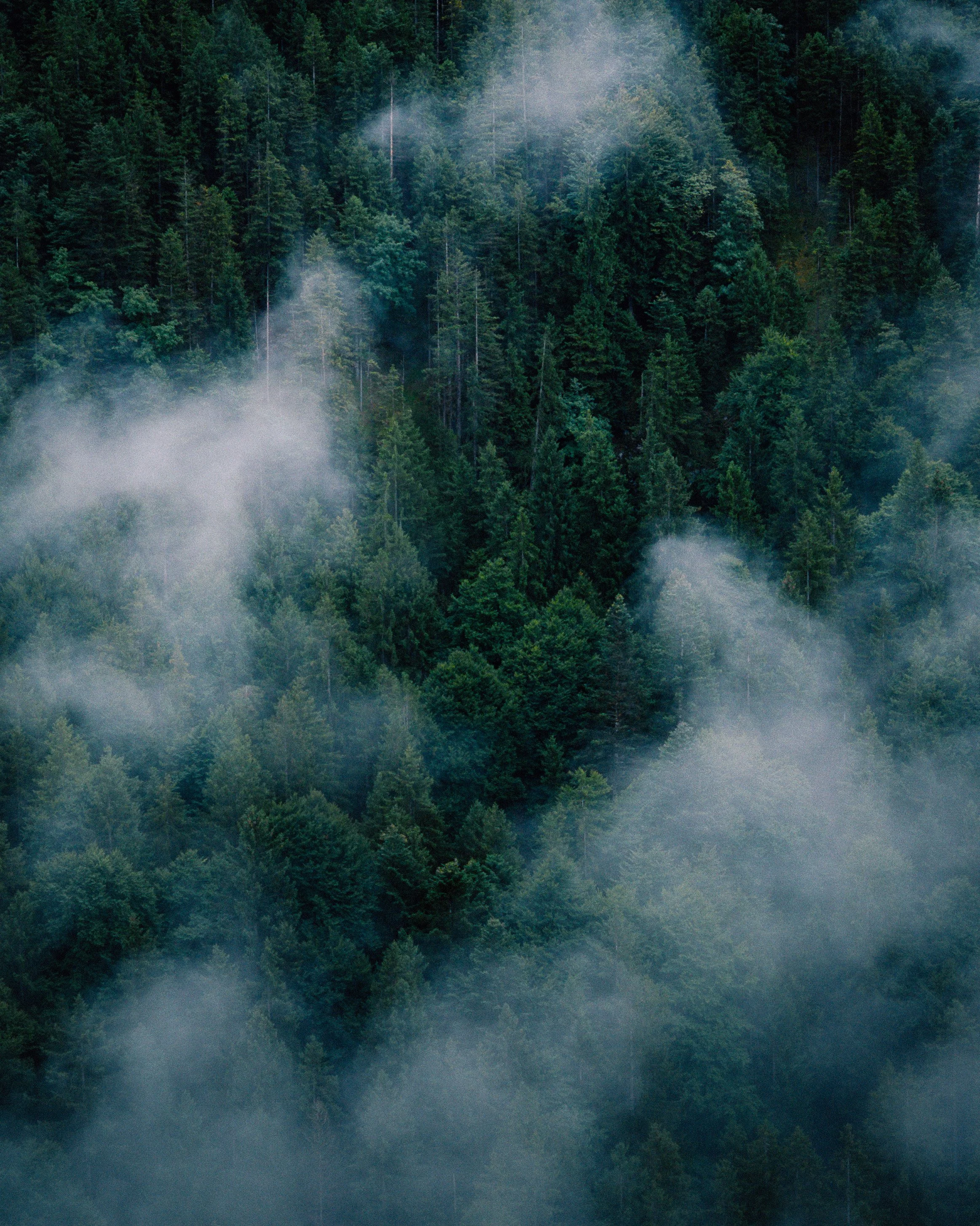 DJI_20250821111635_0014_D.jpg