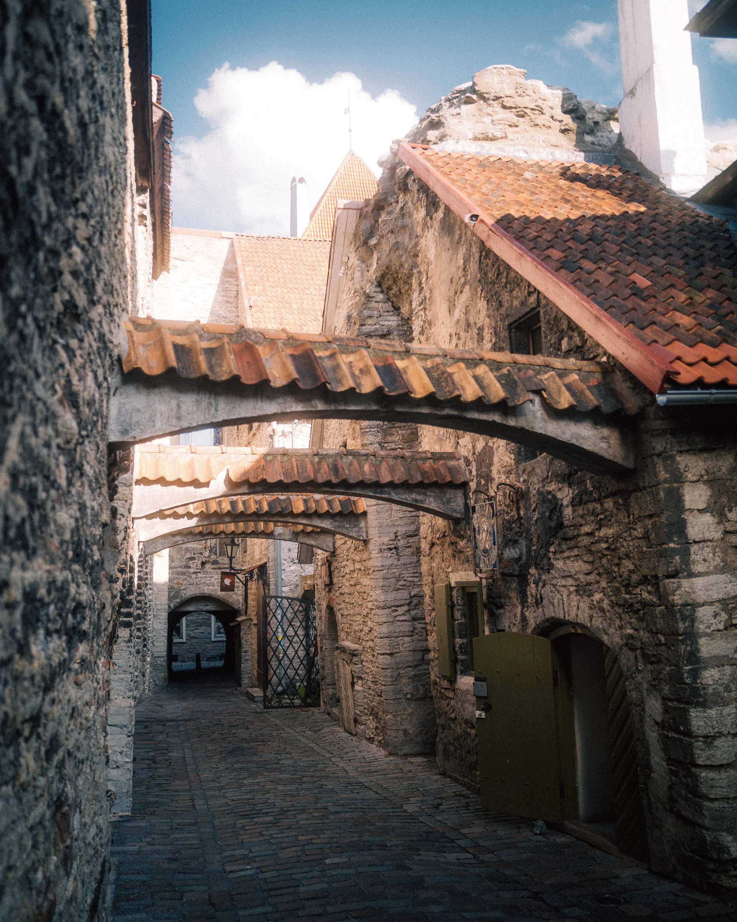 L1930921.jpg