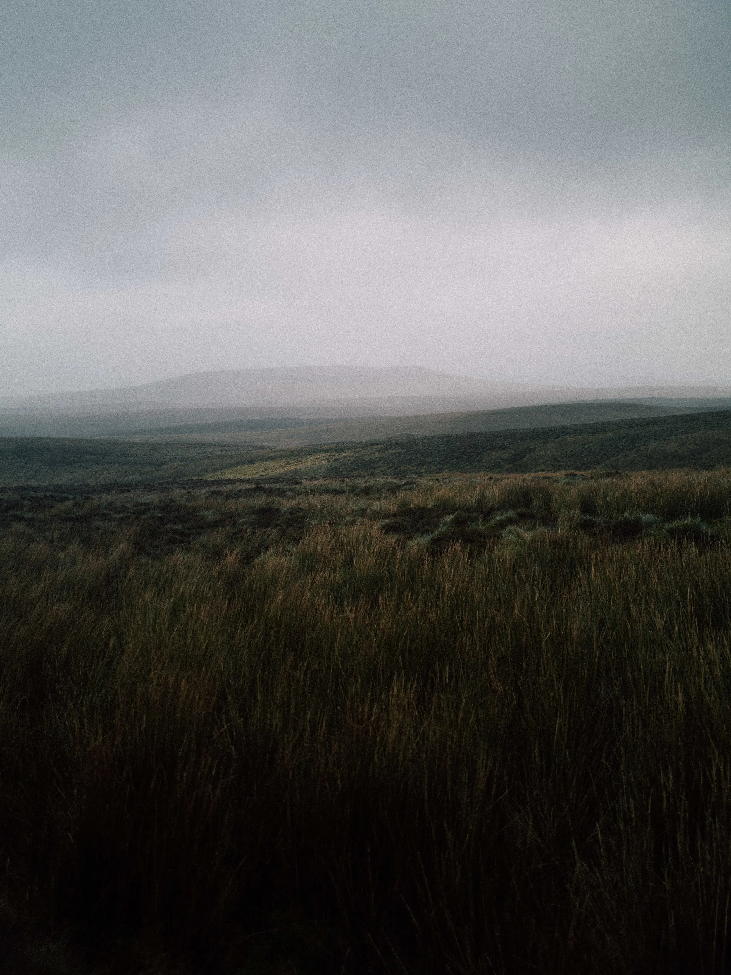 L1000929.jpg