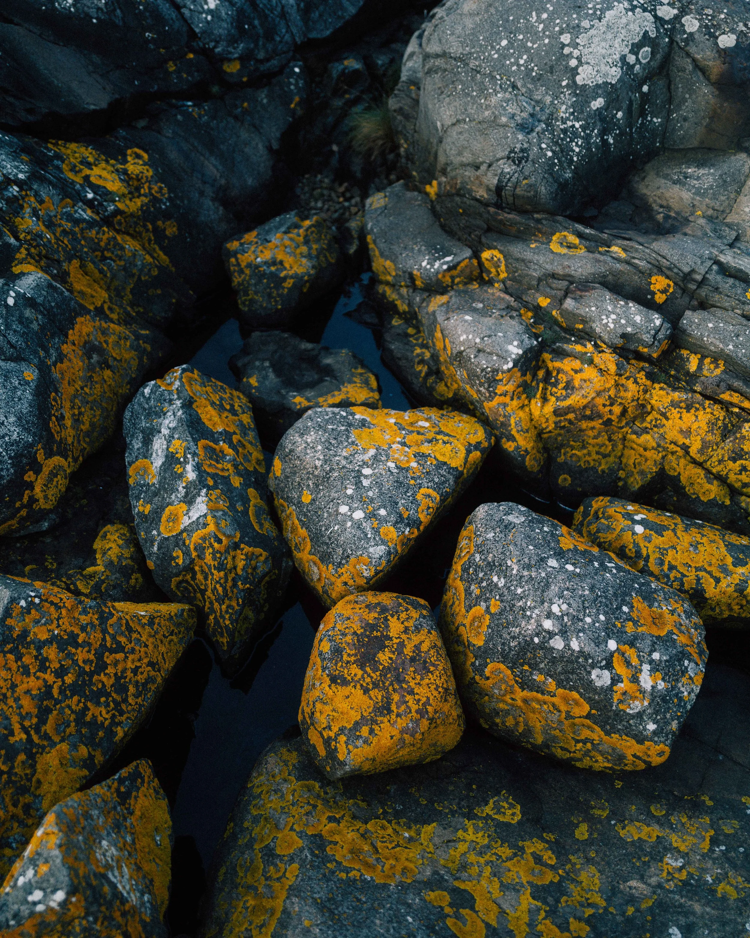 L2040317.jpg