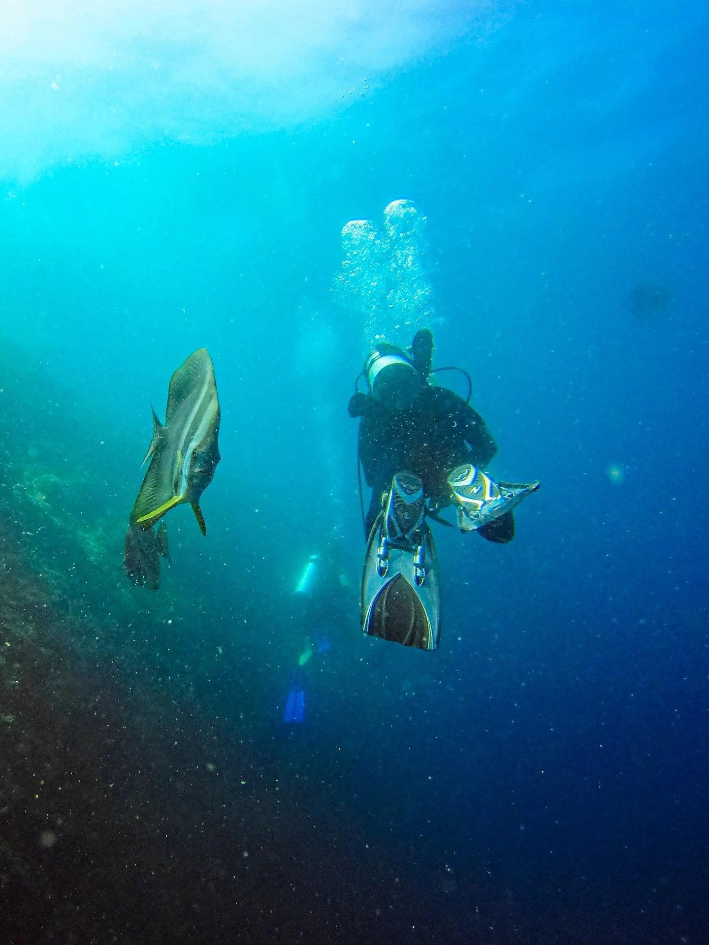 It&rsquo;s a two way stream 🐠