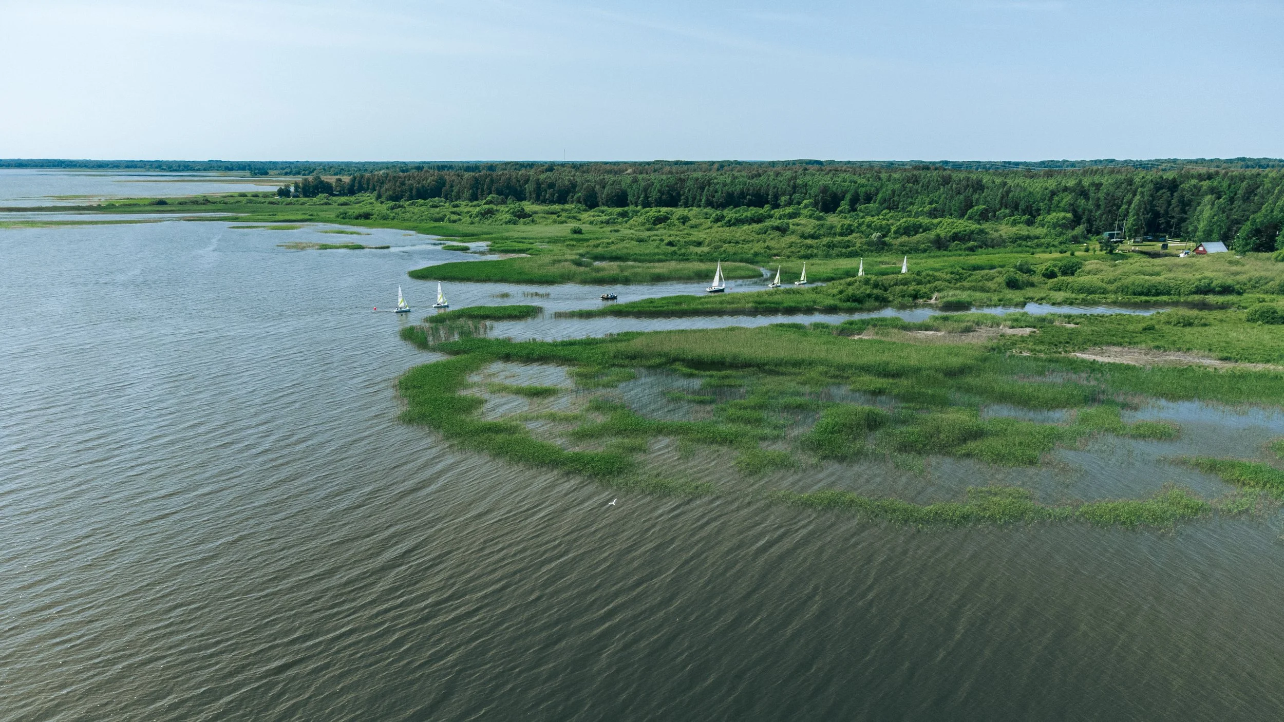 DJI_0358.jpg
