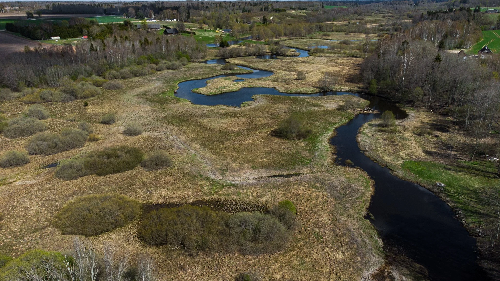 DJI_0030.jpg