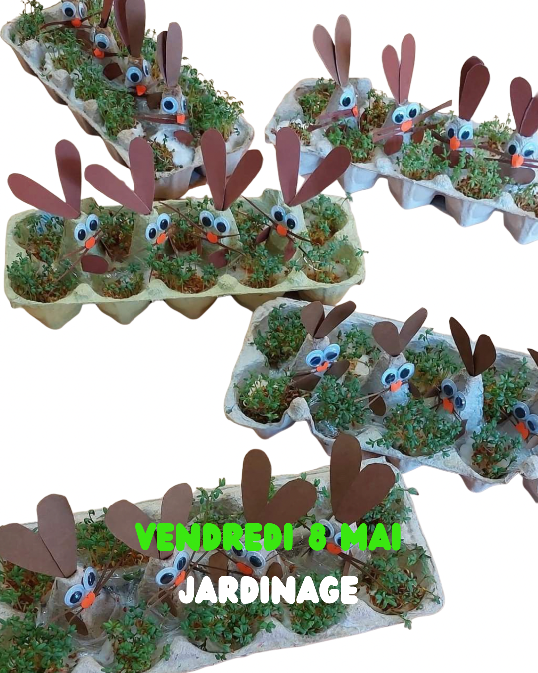 Plantation de petite pousse