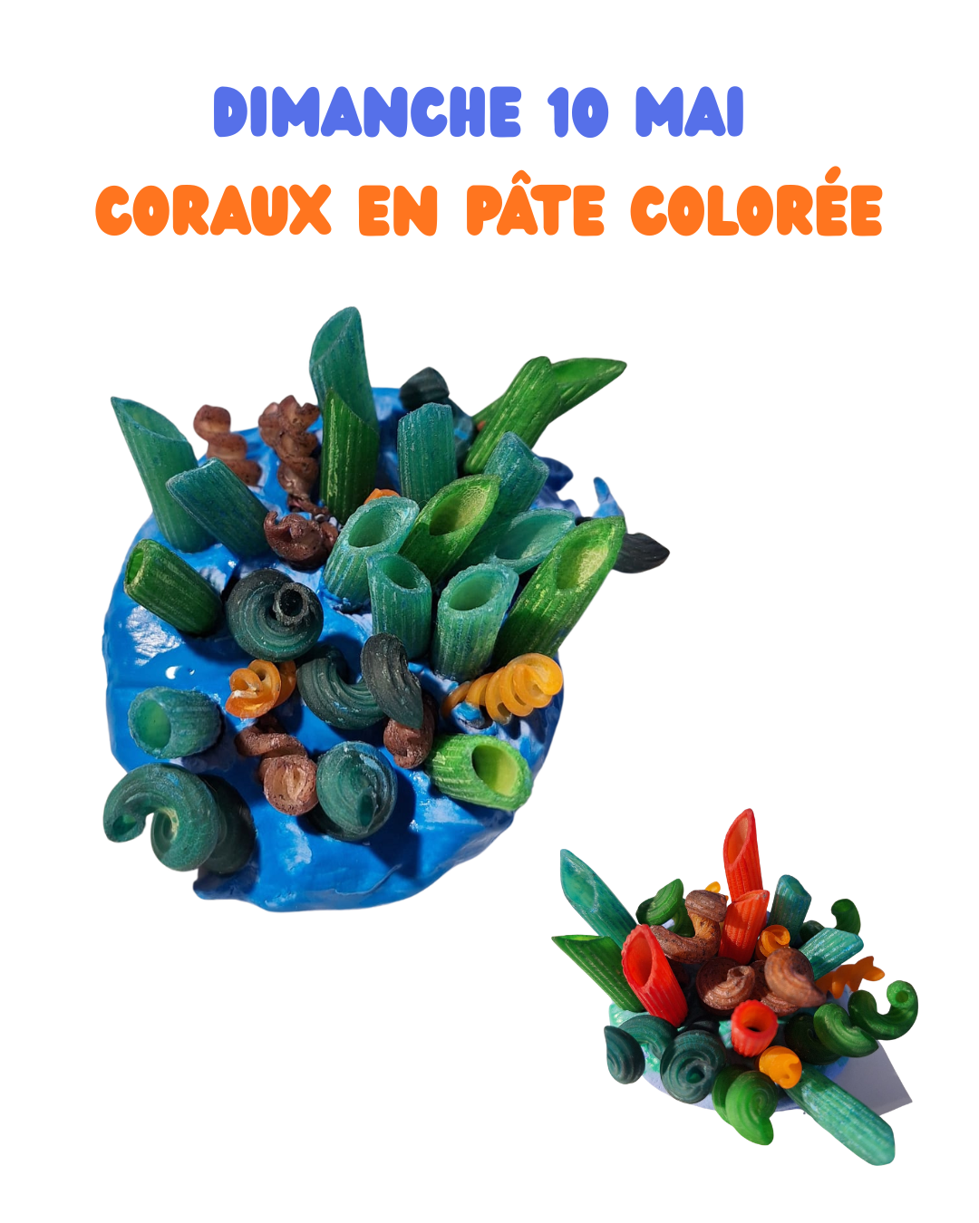 Création de coraux - sensibilisation à la nature & fête des mamans