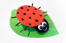 Coccinelle sauteuse