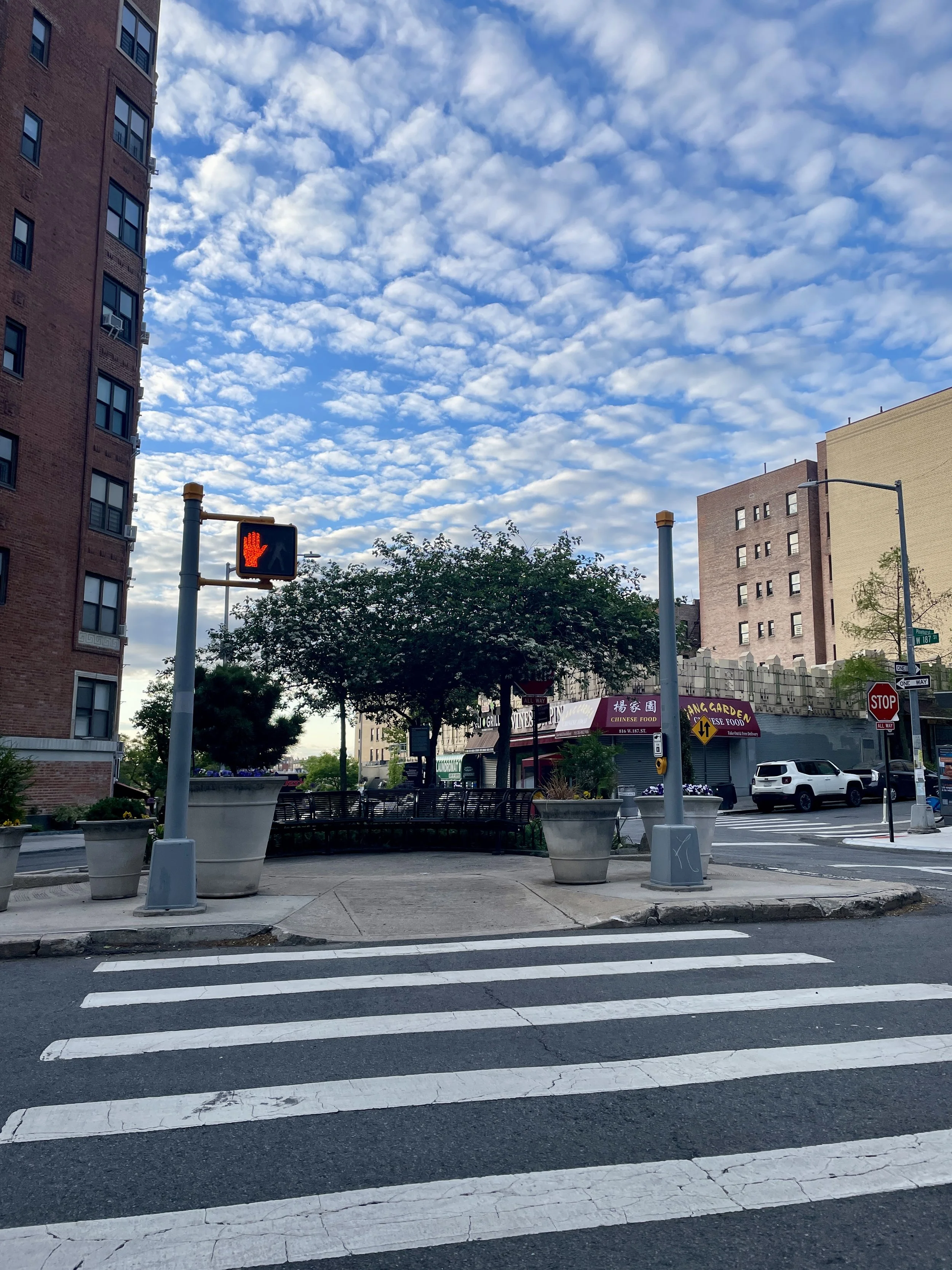 City street scene with crosswalk, traffic light showing a red hand signal, buildings, trees, parked cars, and storefronts under a partly cloudy sky.