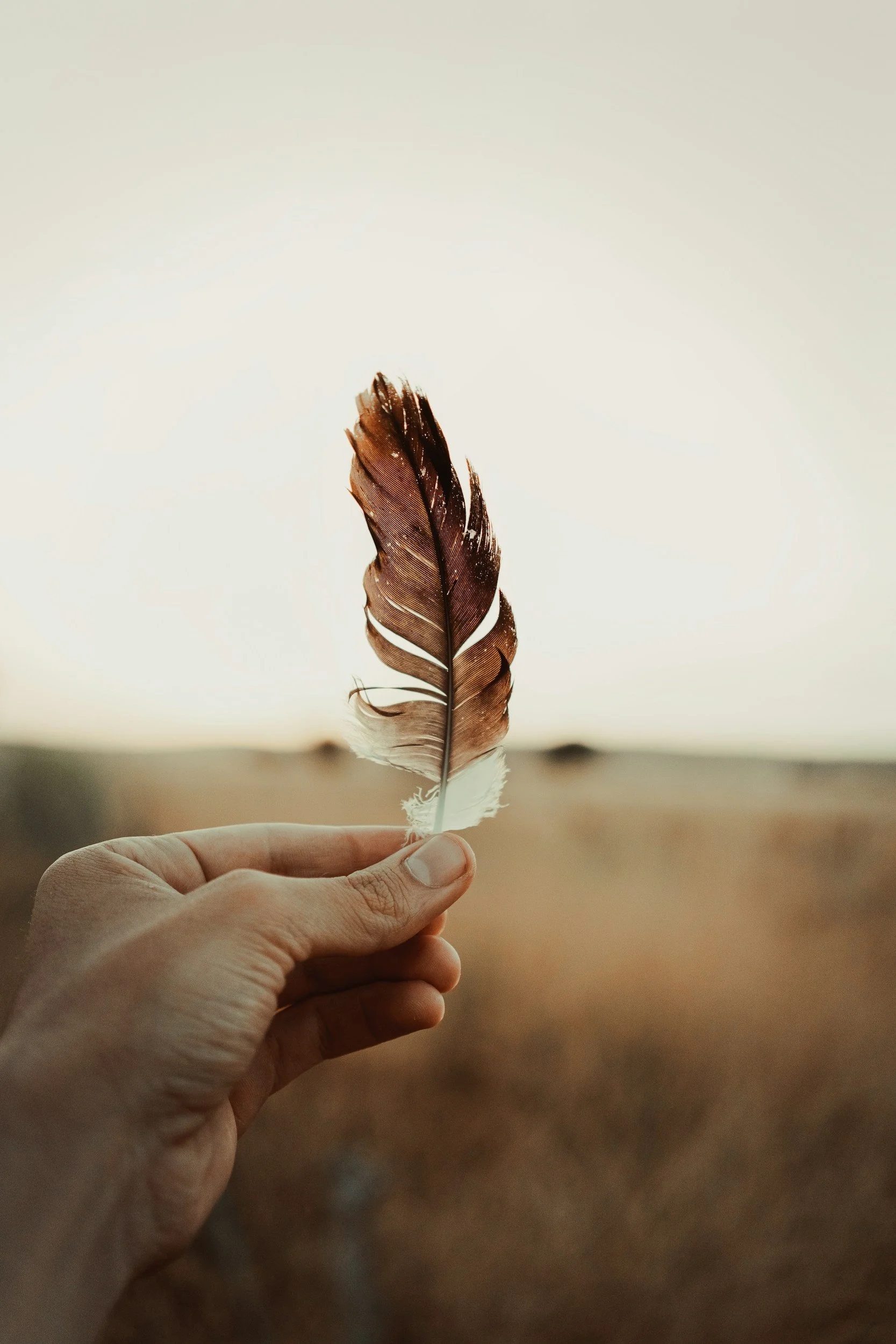 A person's hand holding a brown and white feather outdoors at sunset or sunrise.