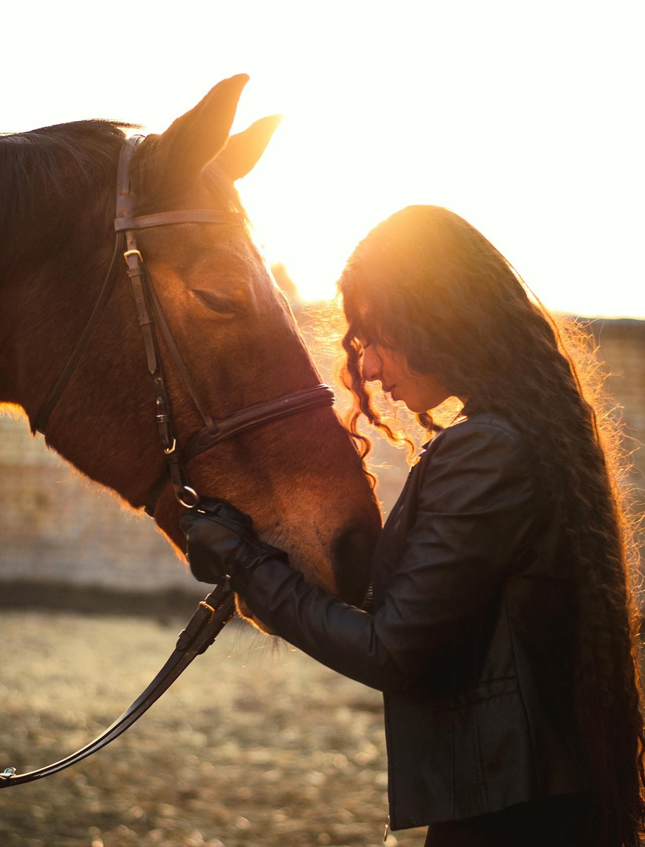 A woman with long, curly hair in a black jacket gently touching a horse's face during sunset.