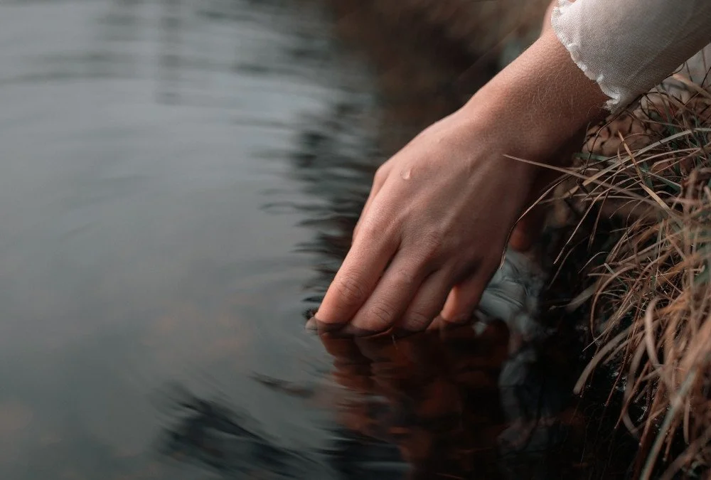 A hand resting in calm water near a grassy bank.