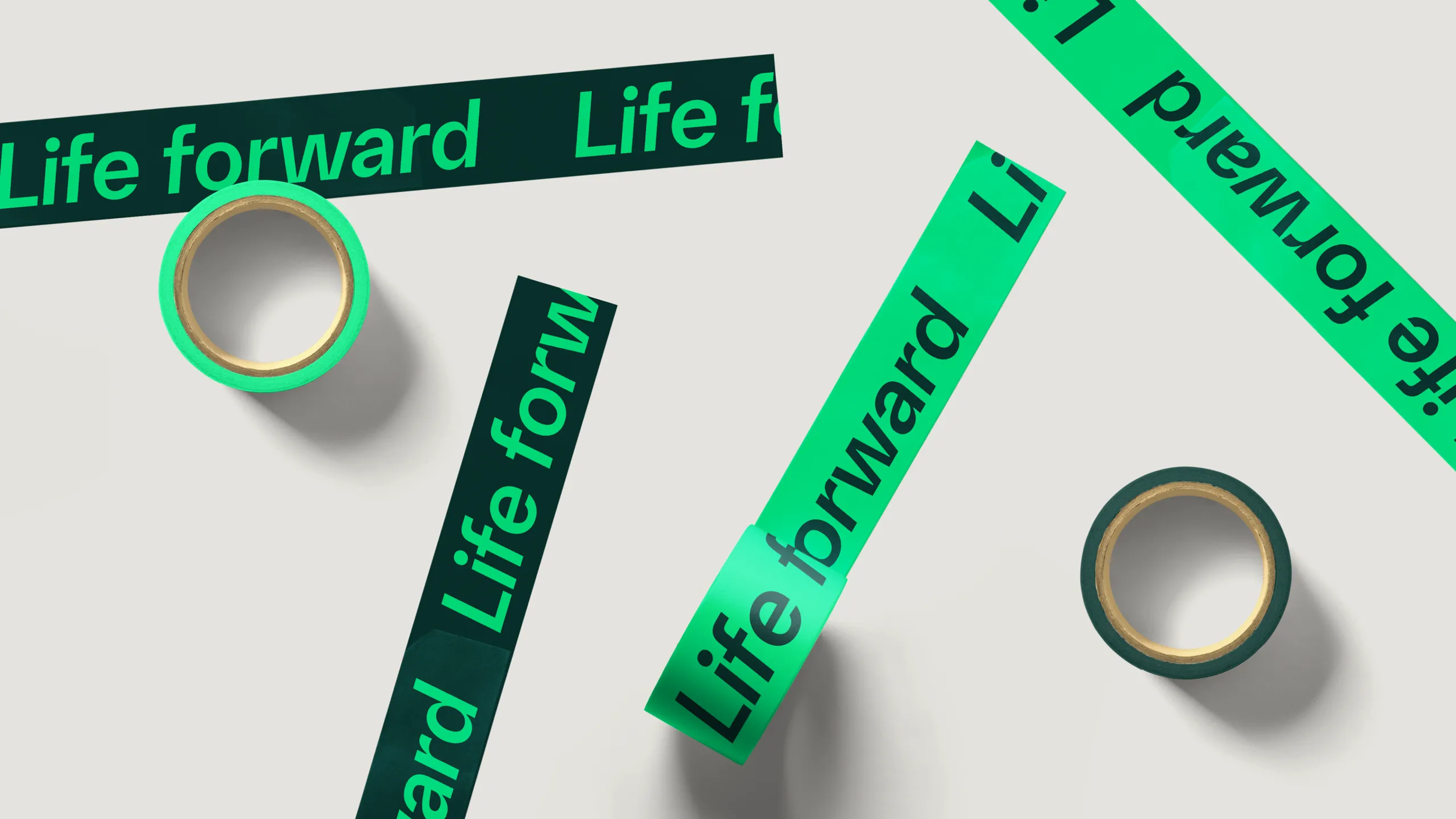 imgi_19_423f617492247c7a5b5b03650af35f002502b07c 2.png