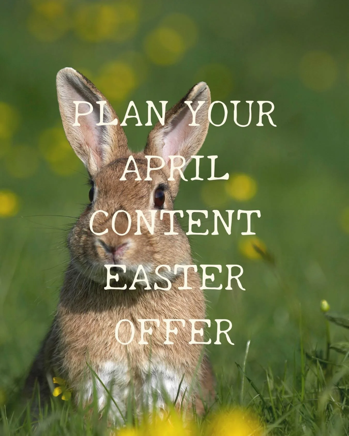 EASTER OFFER TODAY ONLY 🐣🐰

For anyone who runs an animal business and is struggling with content.

this is your chance to finally get your content sorted for April

🌺 No more overthinking
🌺 No more wondering what to post
🌺 No more last minute s