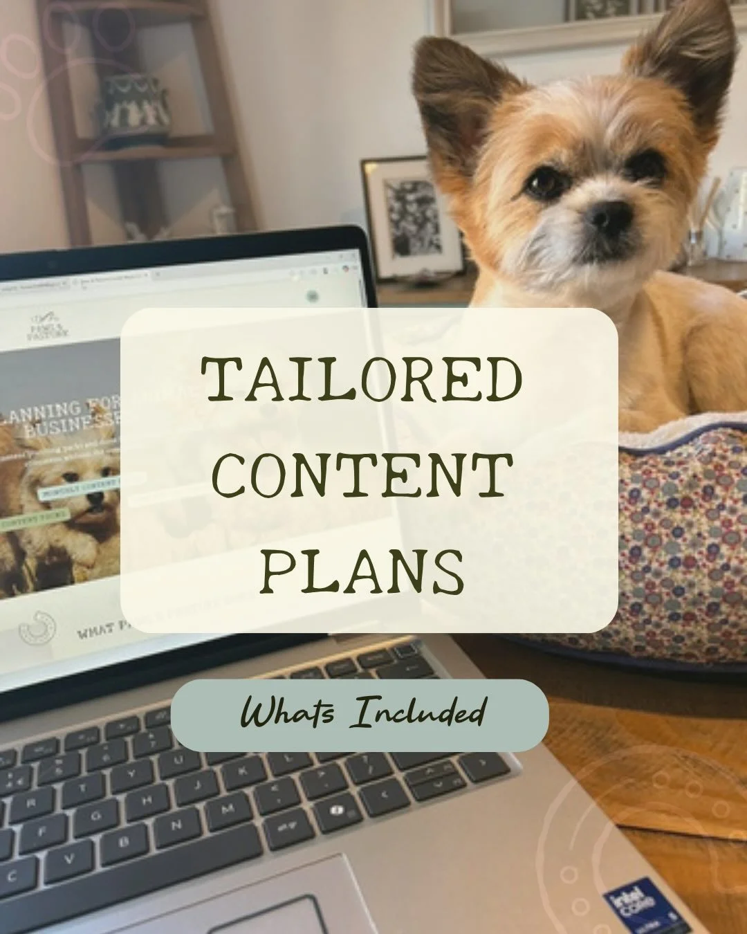 Content feels stressful when you don&rsquo;t have a clear plan or any direction behind what your posting. 

I created Paws &amp; Pasture to offer strategic content support for pet &amp; animal businesses struggling with what to post, how to stay cons