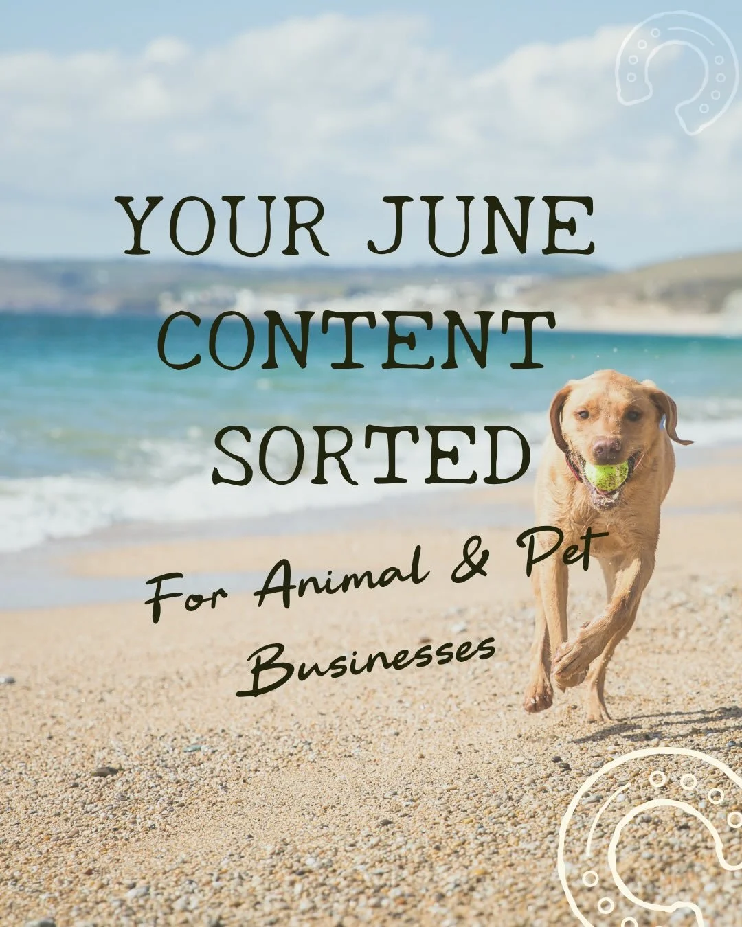 Animal &amp; pet business owners... 🐾

Does content planning feel overwhelming when you&rsquo;re already busy running your business?

If you&rsquo;re constantly wondering what to post, posting last minute or struggling to stay consistent, the June C
