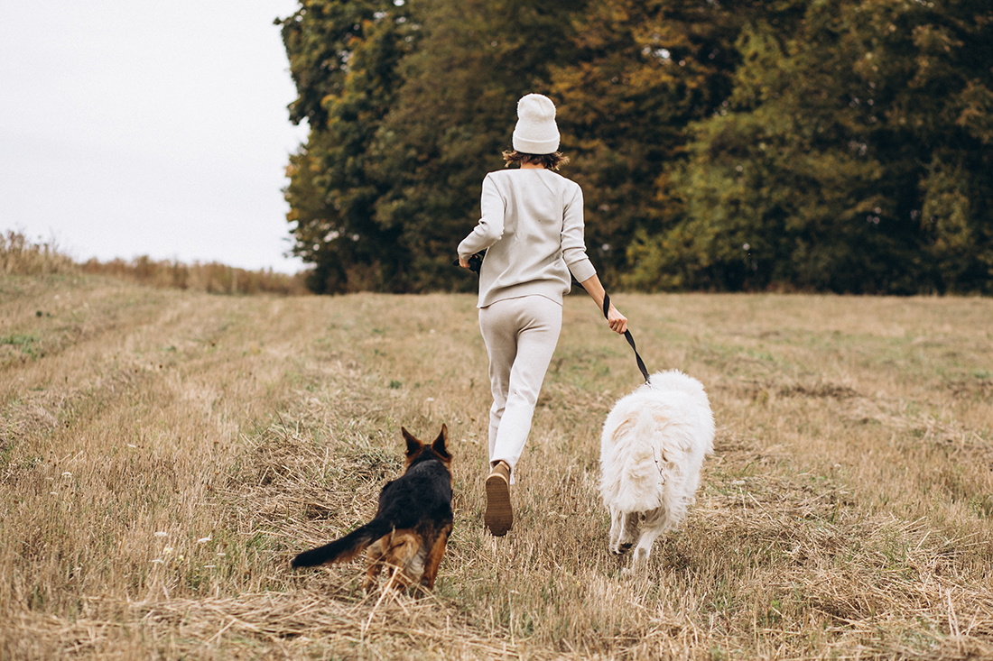 Woman in beige clothing and a white knit hat walking on a grassy field with two dogs, one large white fluffy dog on a leash and a smaller black and brown dog nearby, with trees in the background.