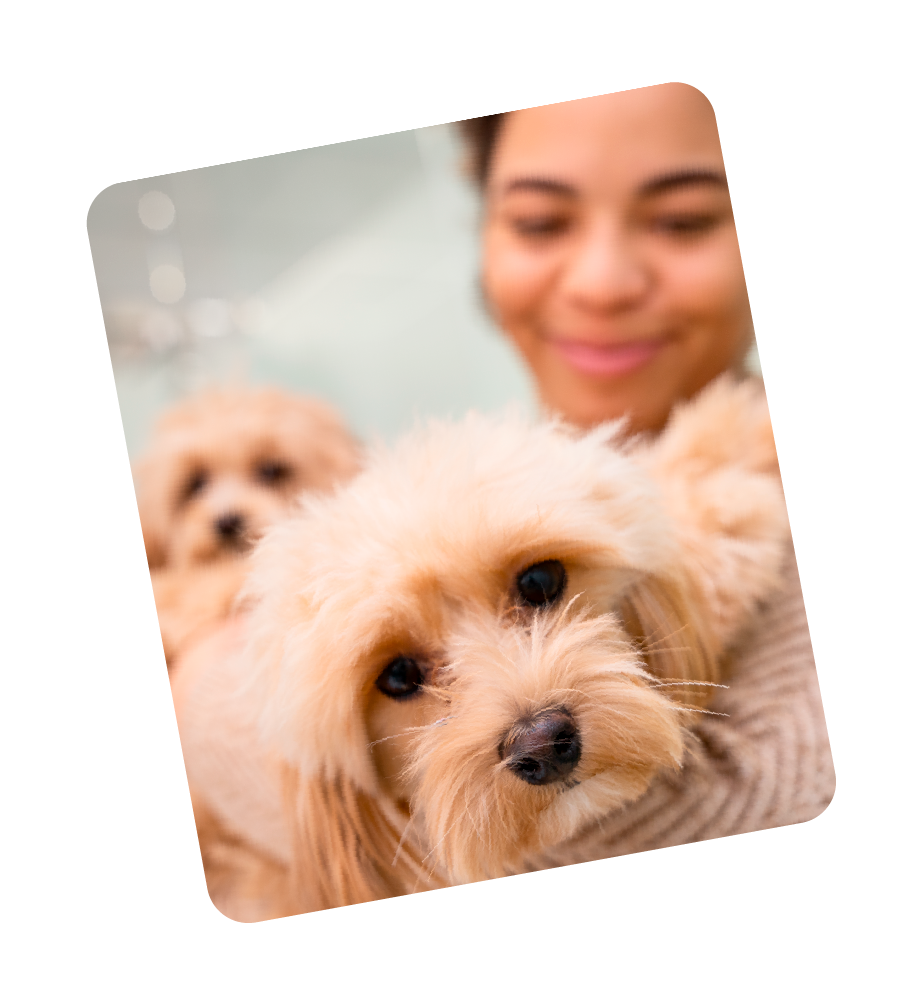 A woman smiling at a small, fluffy tan dog with dark eyes, holding it close to her face. Another similar dog is blurred in the background.