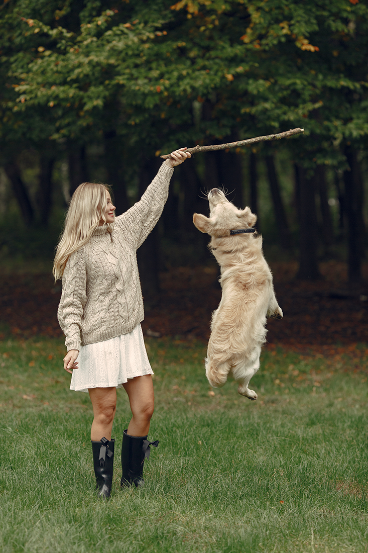 A woman in a beige sweater and white skirt plays with a golden retriever dog in a park, with her holding a stick that the dog is jumping to catch, surrounded by trees.