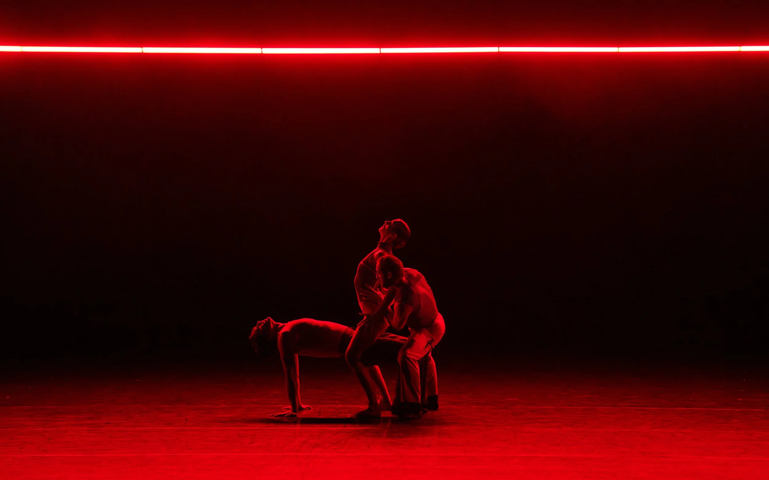 PERSEPHONE (DUTCH NATIONAL BALLET)