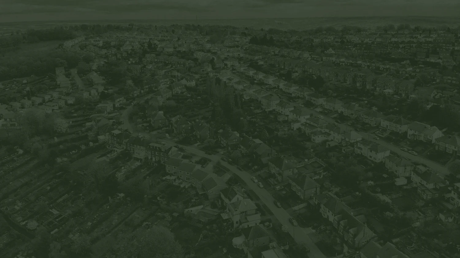 Homepage background.jpg