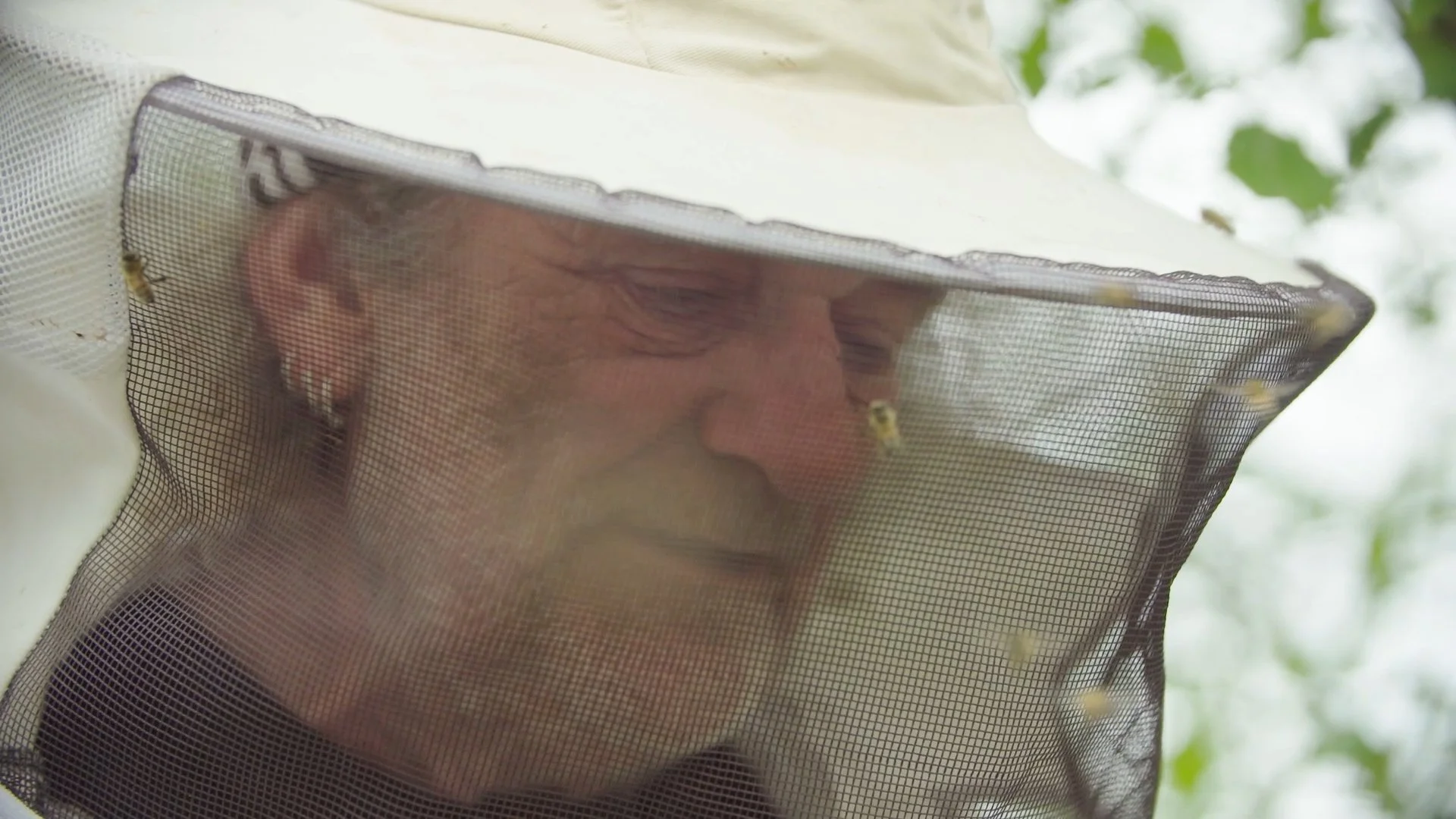 Still 2024-12-30 193446_1.1.1.jpg