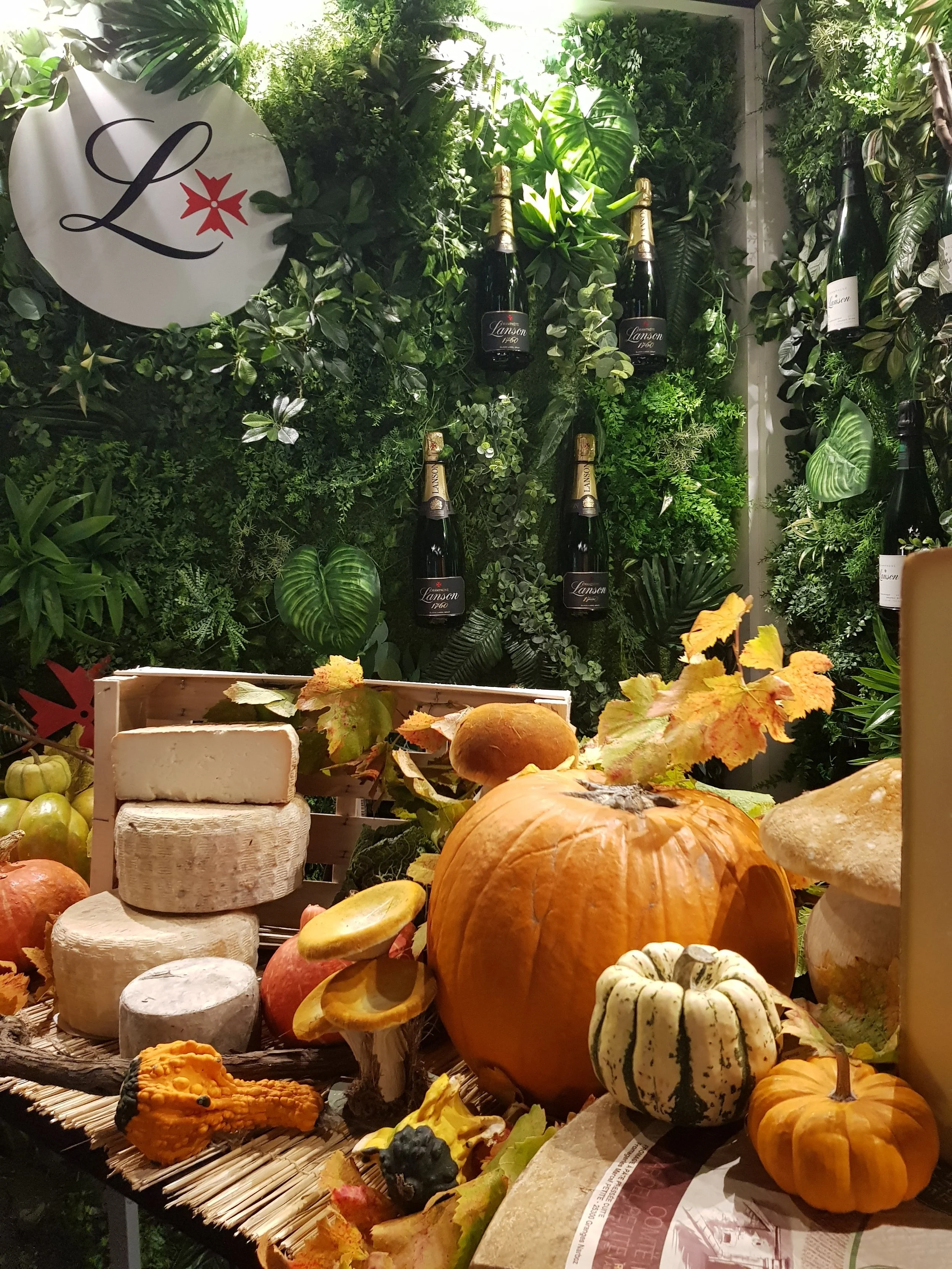 Dégustation Champagne et fromage