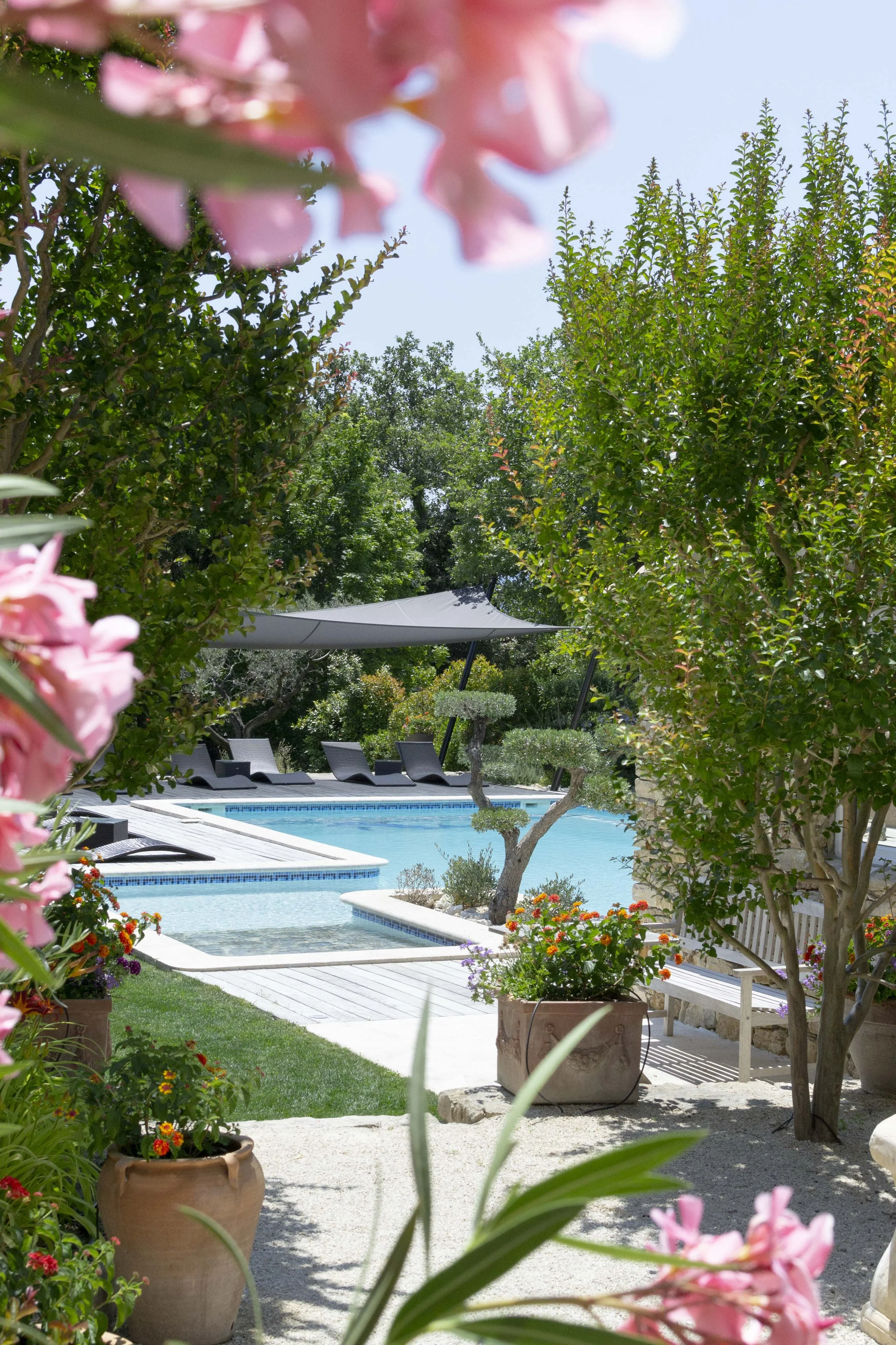 photo jardin piscine location