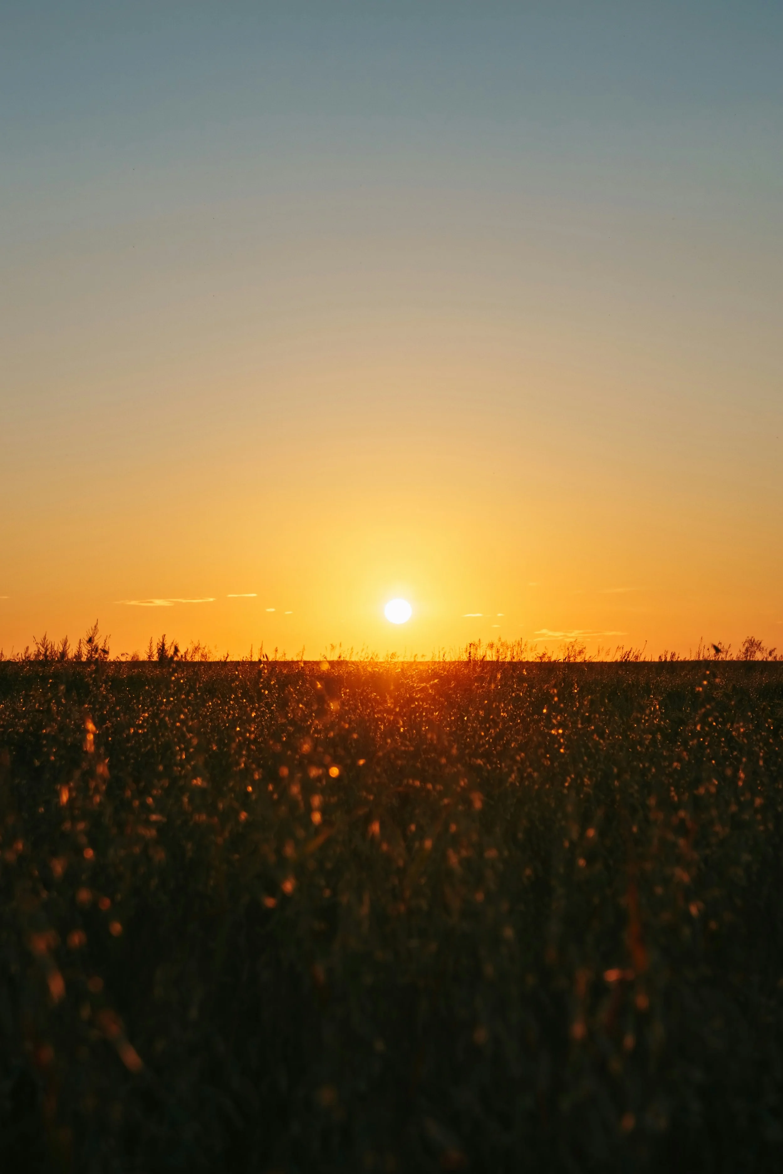 sunset over open fields during a luxury transformation retreat for entrepreneurs in the Netherlands
