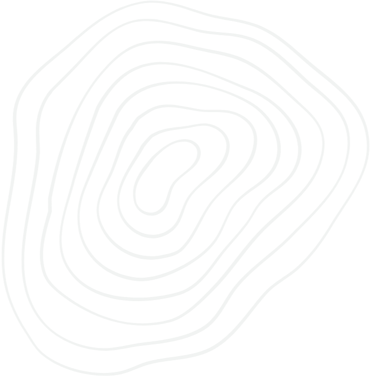 Schwarz-weiße Linienzeichnung, die einen vereinfachten Baumstamm mit Jahresringen darstellt.