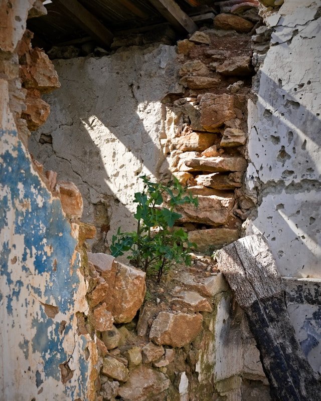 Verfallene Mauer mit durchbrochenen Wänden und einem kleinen grünen Busch in der Mitte.