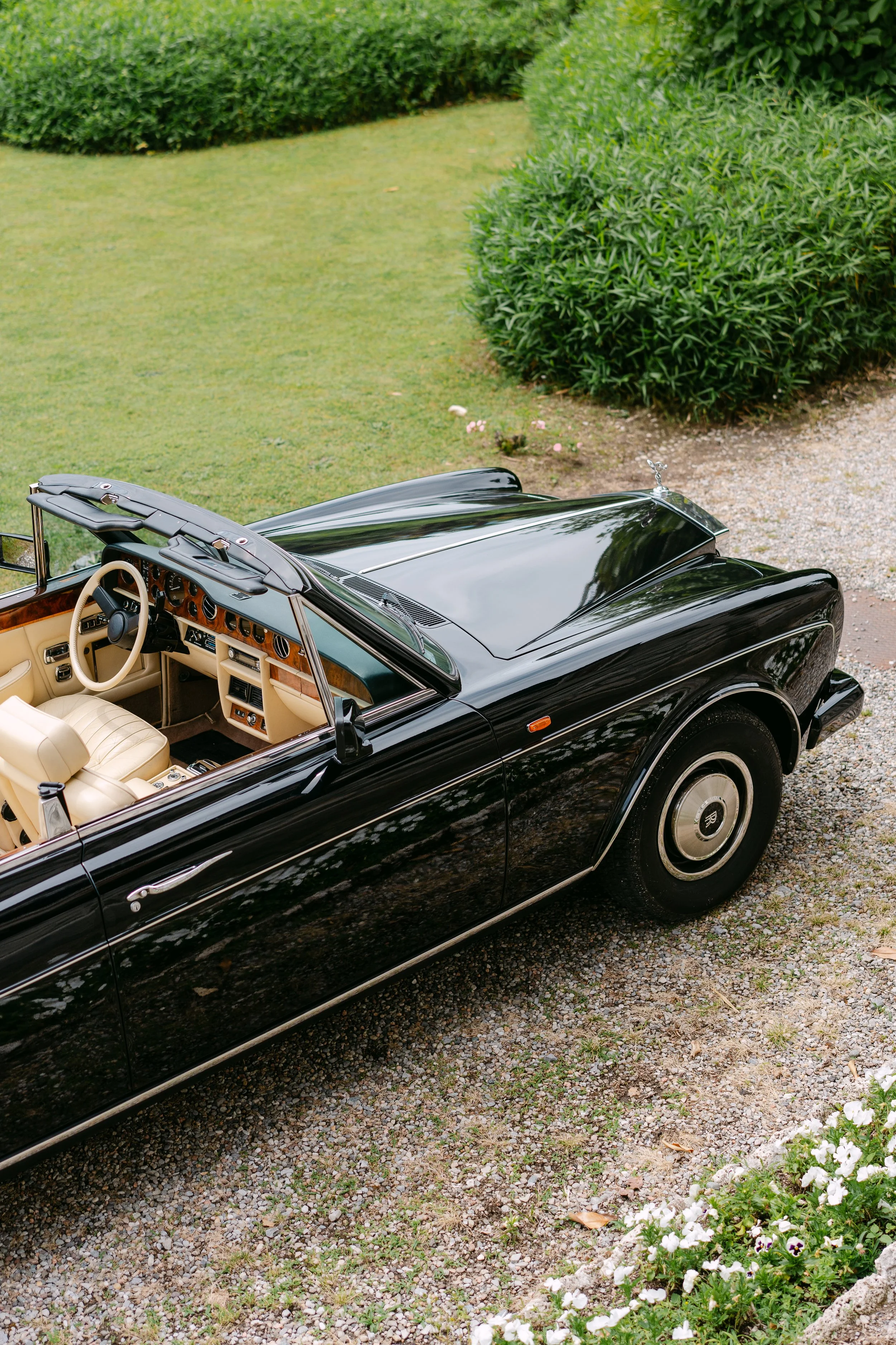 A vintage black convertible car with a beige interior parked on a gravel driveway near green bushes and white flowers.