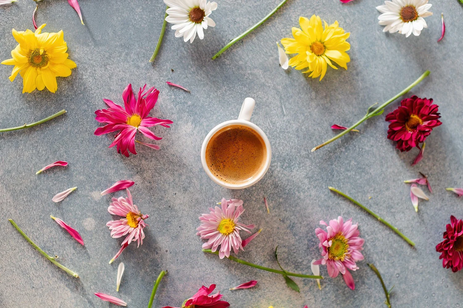 Flower Styling Jan 2026 Jordan Brittley-1.jpg