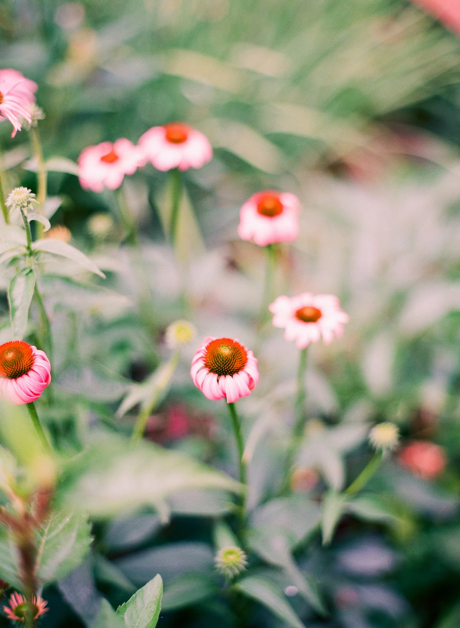 summer-photos-01.jpg