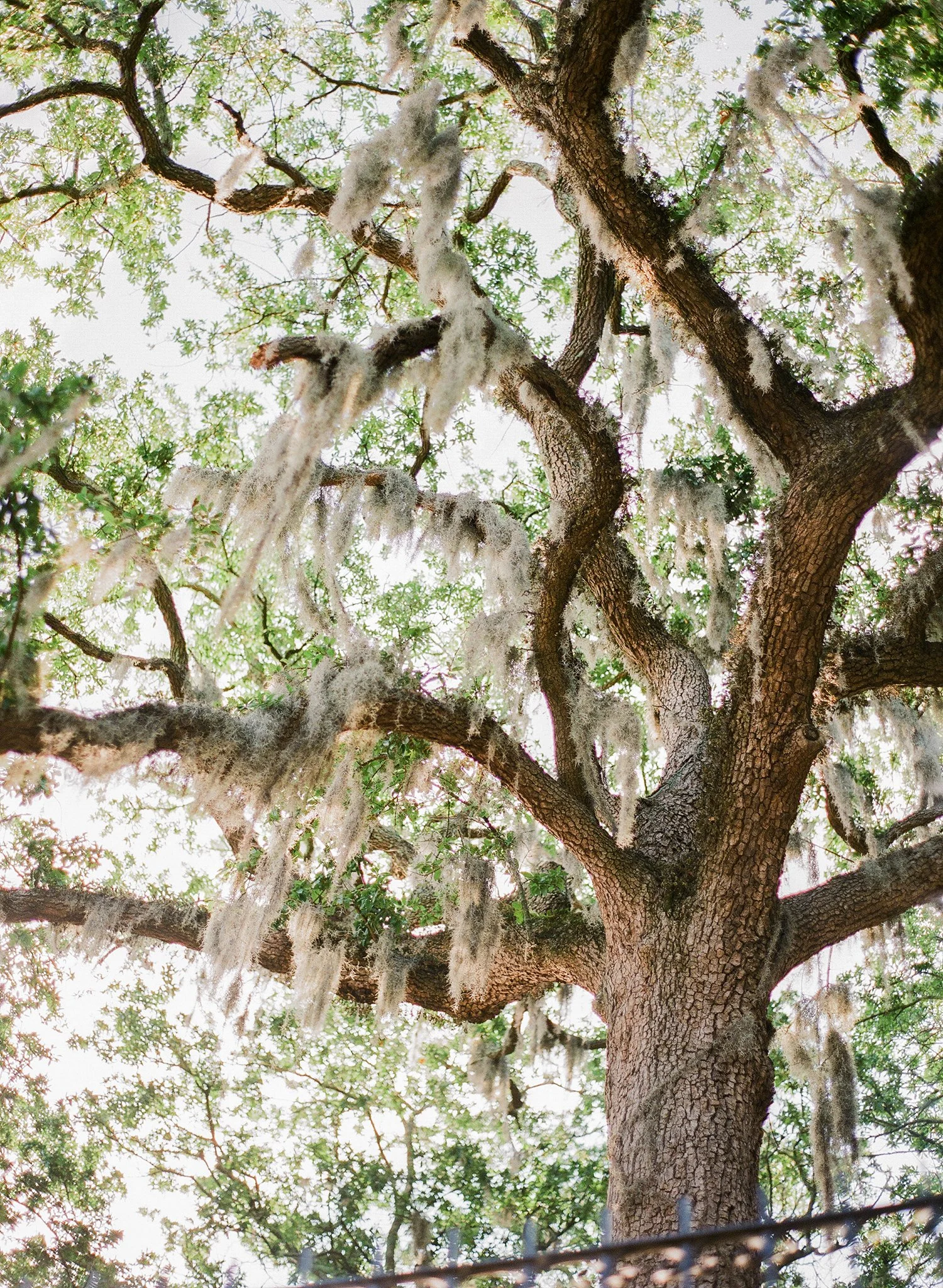 summer-photos-87.jpg