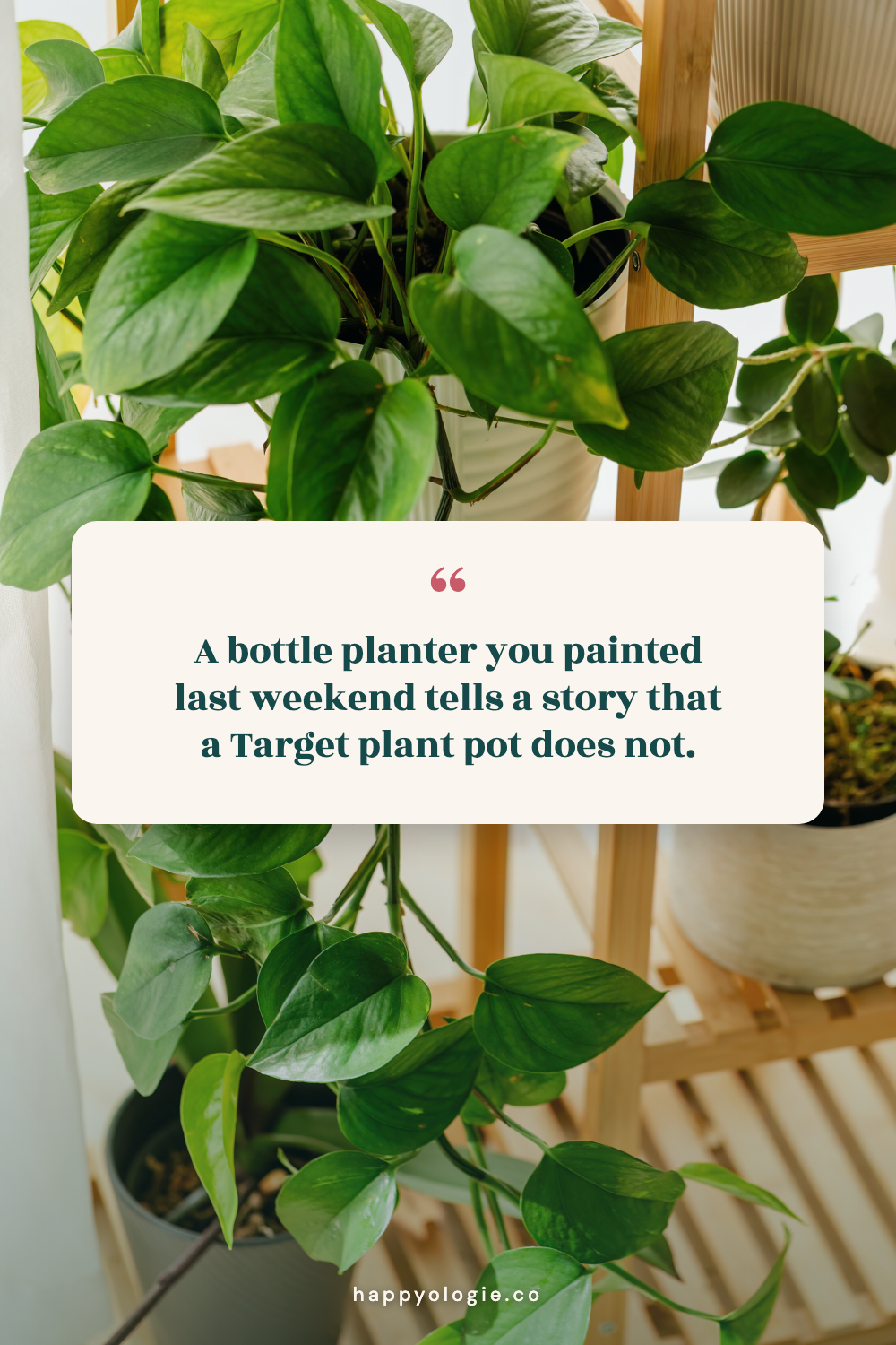A painted bottle planter tells a personal story | Happyologie