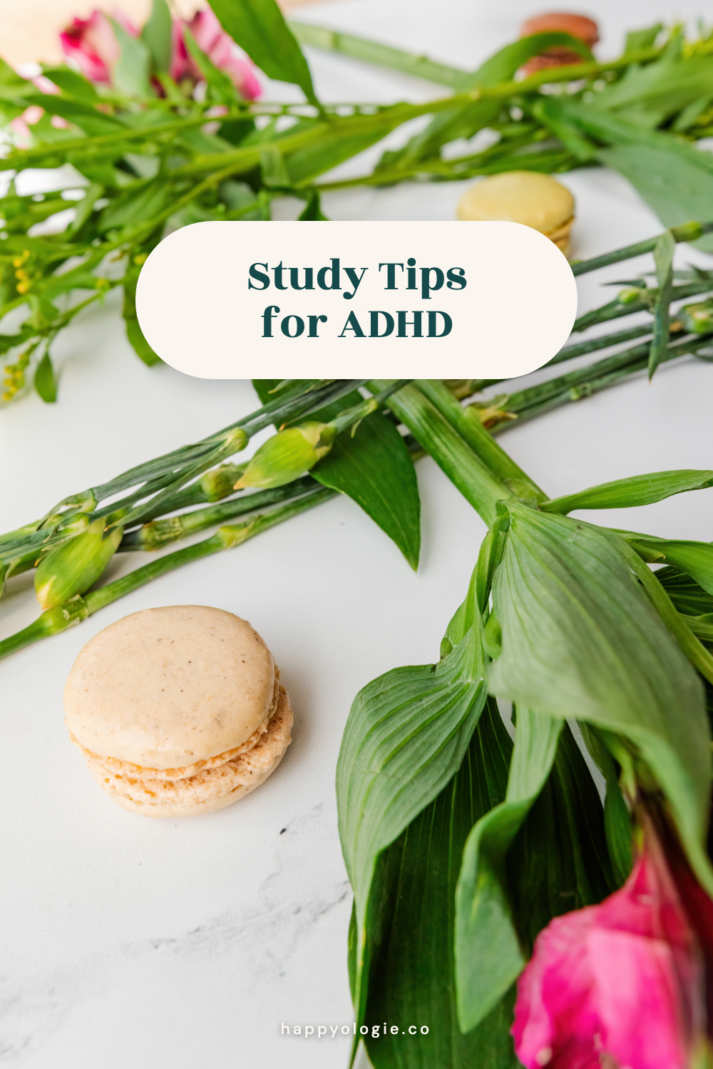 Study tips for ADHD that work with your brain