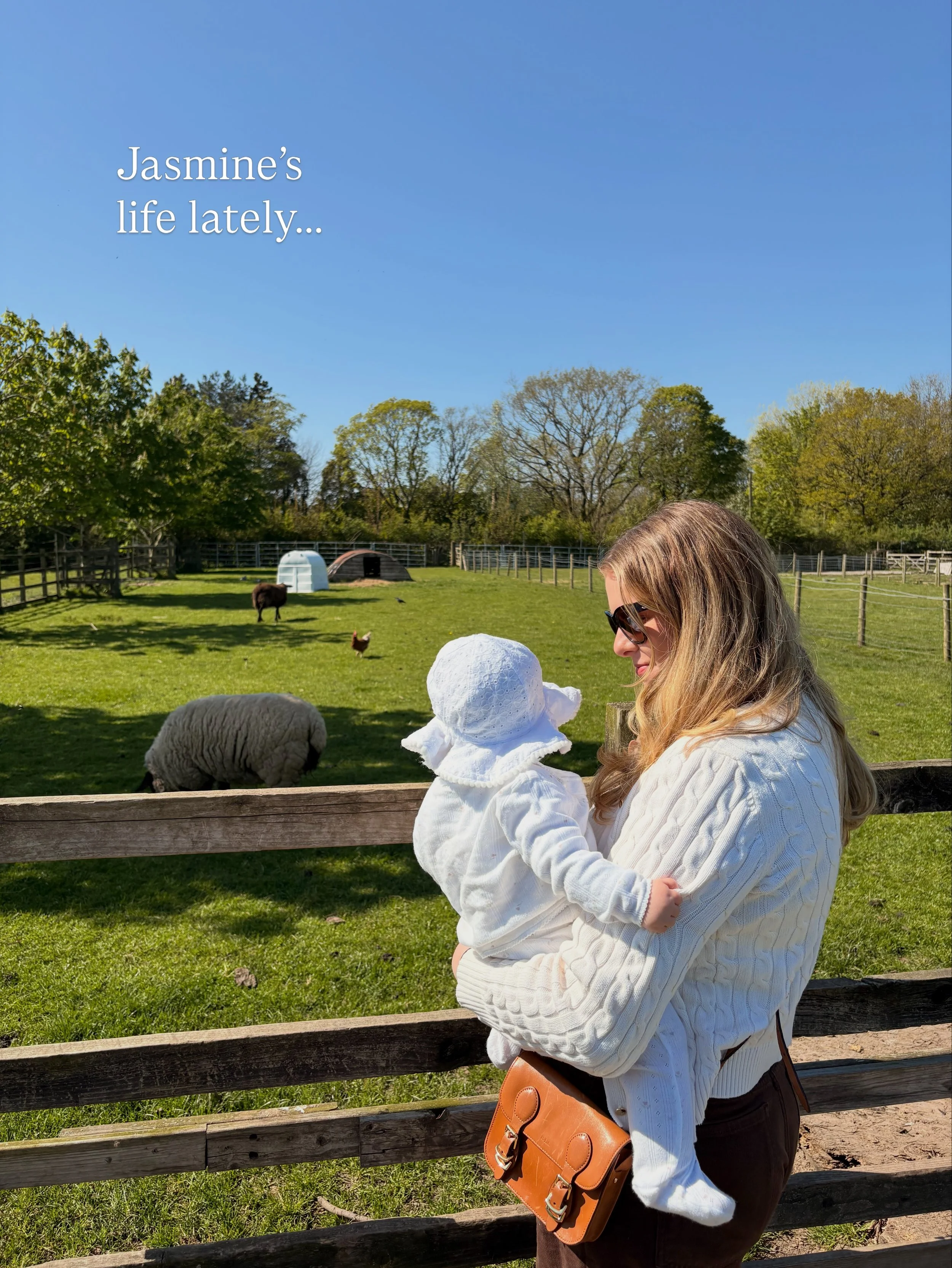 Jasmine&rsquo;s life in pictures lately&hellip;

Jasmine is Creative Director here at W&amp;W. We are a premium branding and web design studio based in the UK and the Algarve, working internationally.