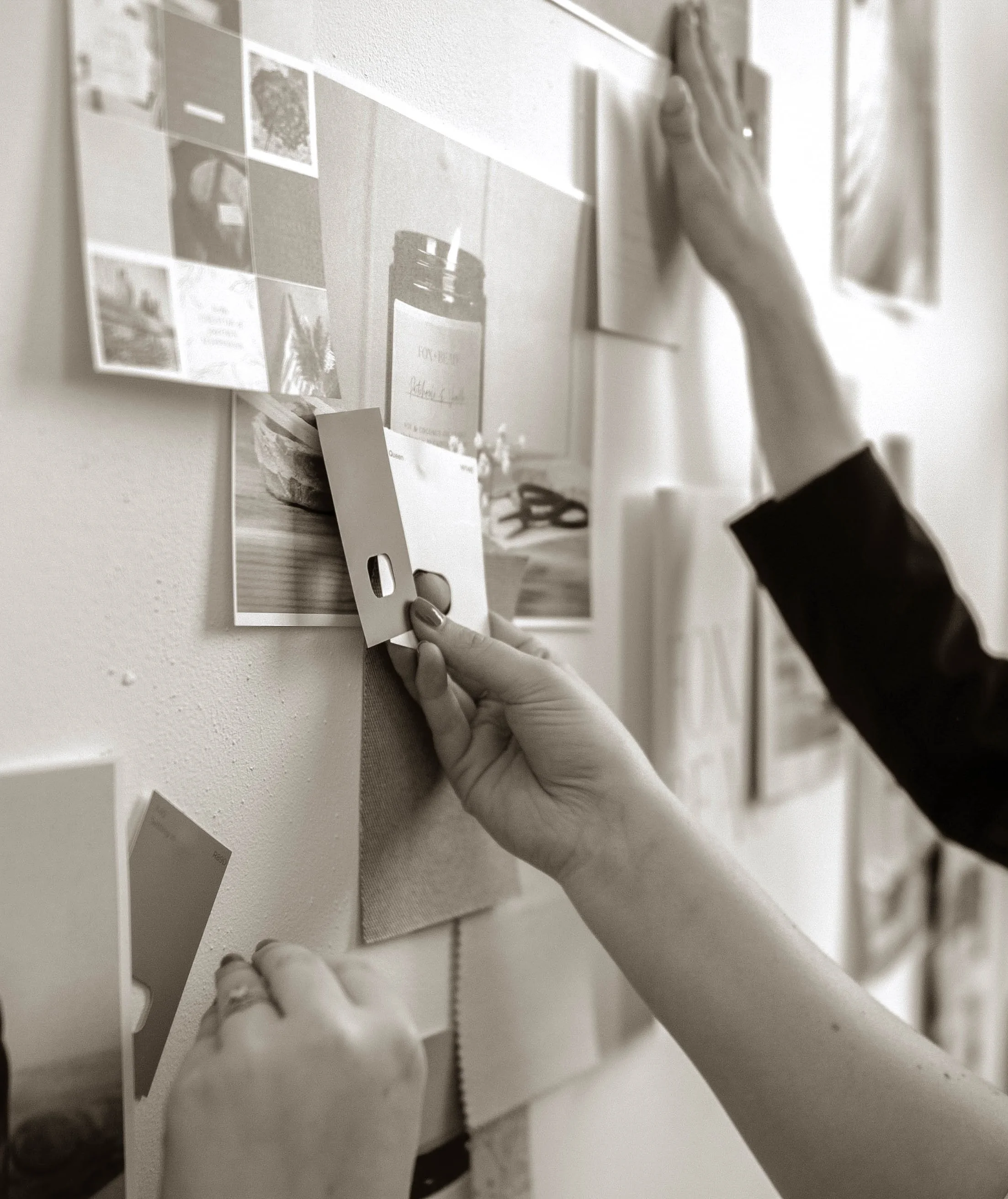 Wilson & Ward team reviewing brand concepts and moodboards