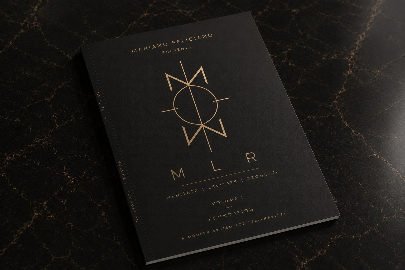 MLR SYSTEM