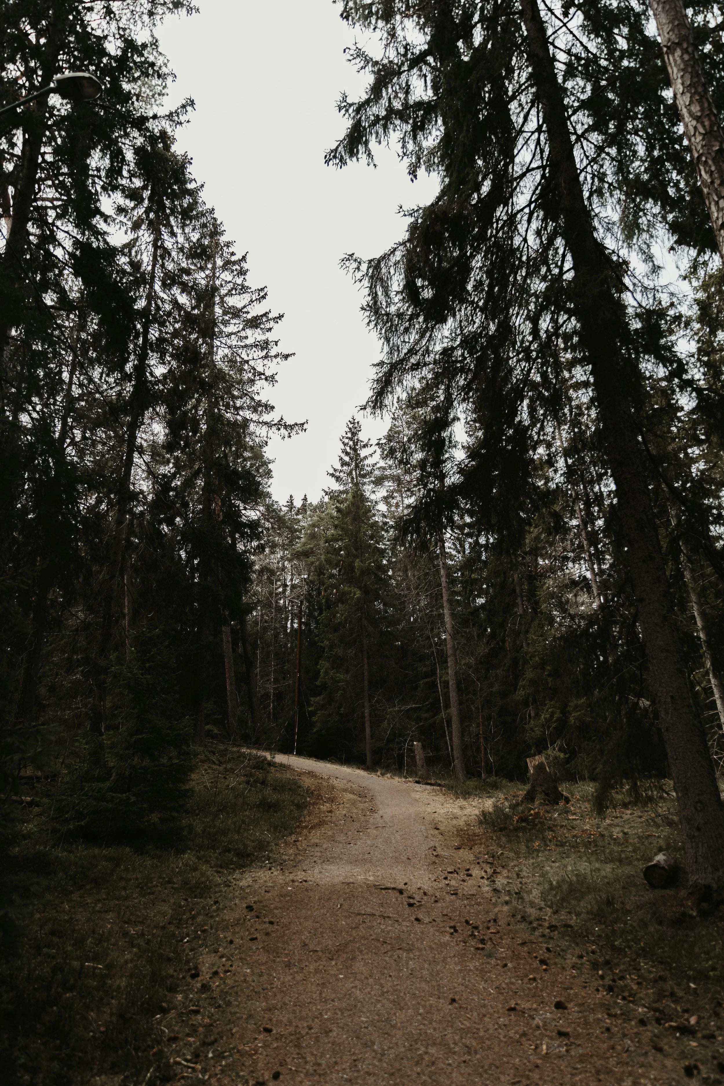 Fragmented, Yet Still Standing