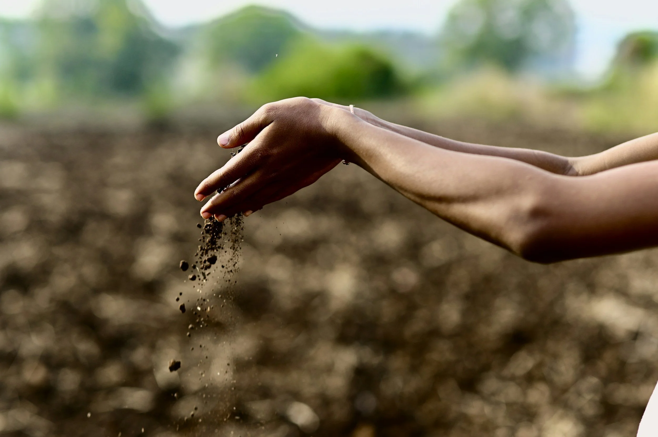 Preparing the Soil of Our Hearts: Growing Faith in a Distracted World