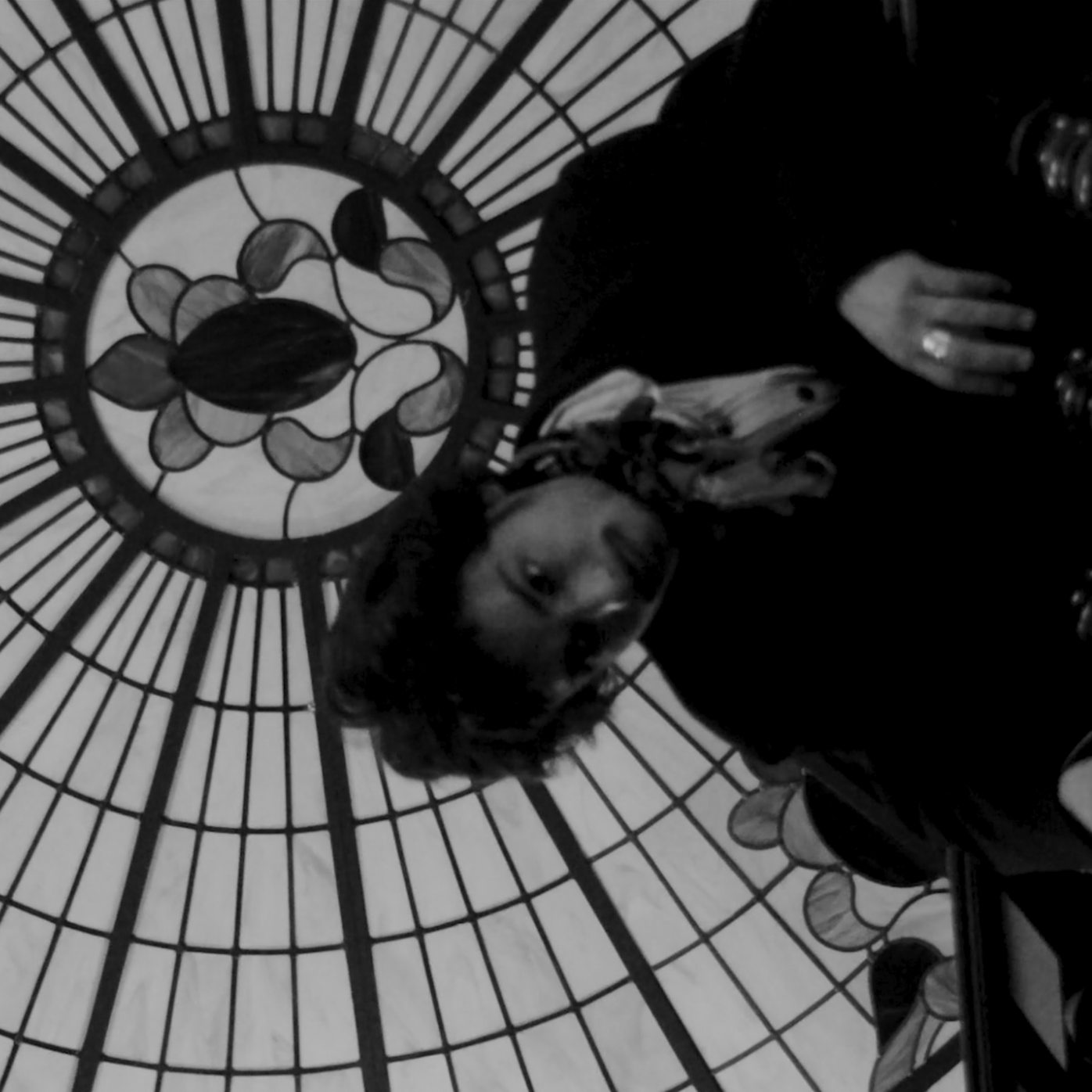 Film Essay: With New Eyes