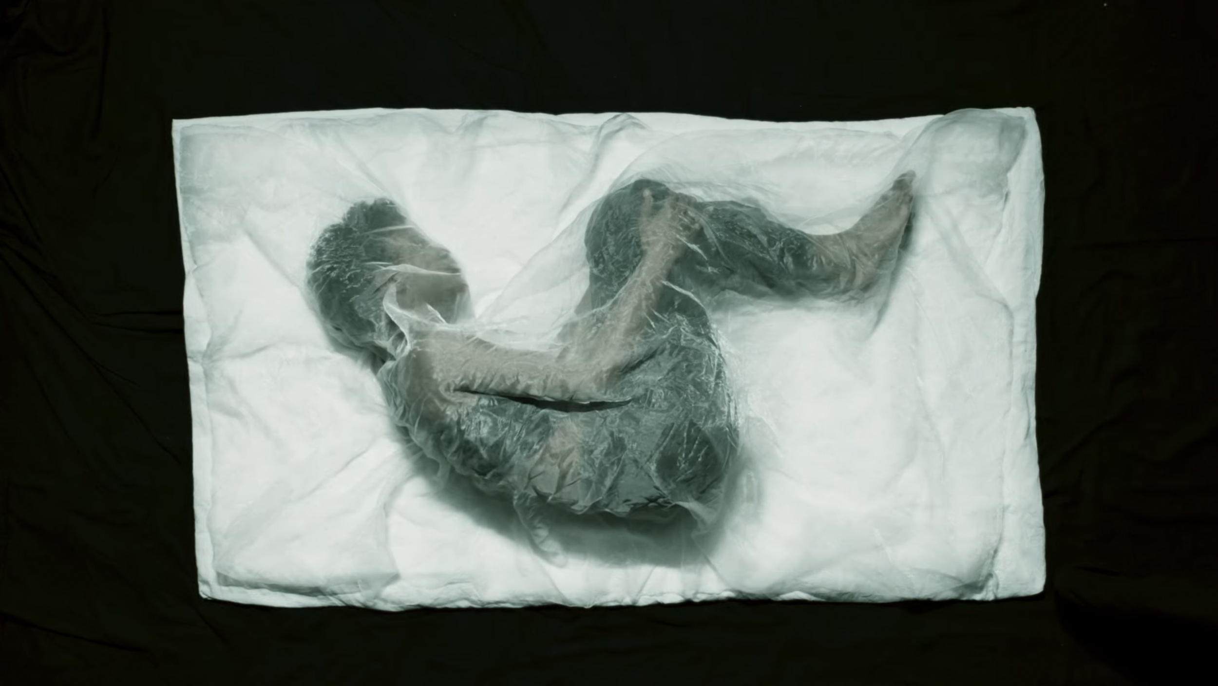 Scherm­afbeelding 2026-02-04 om 21.18.28.png