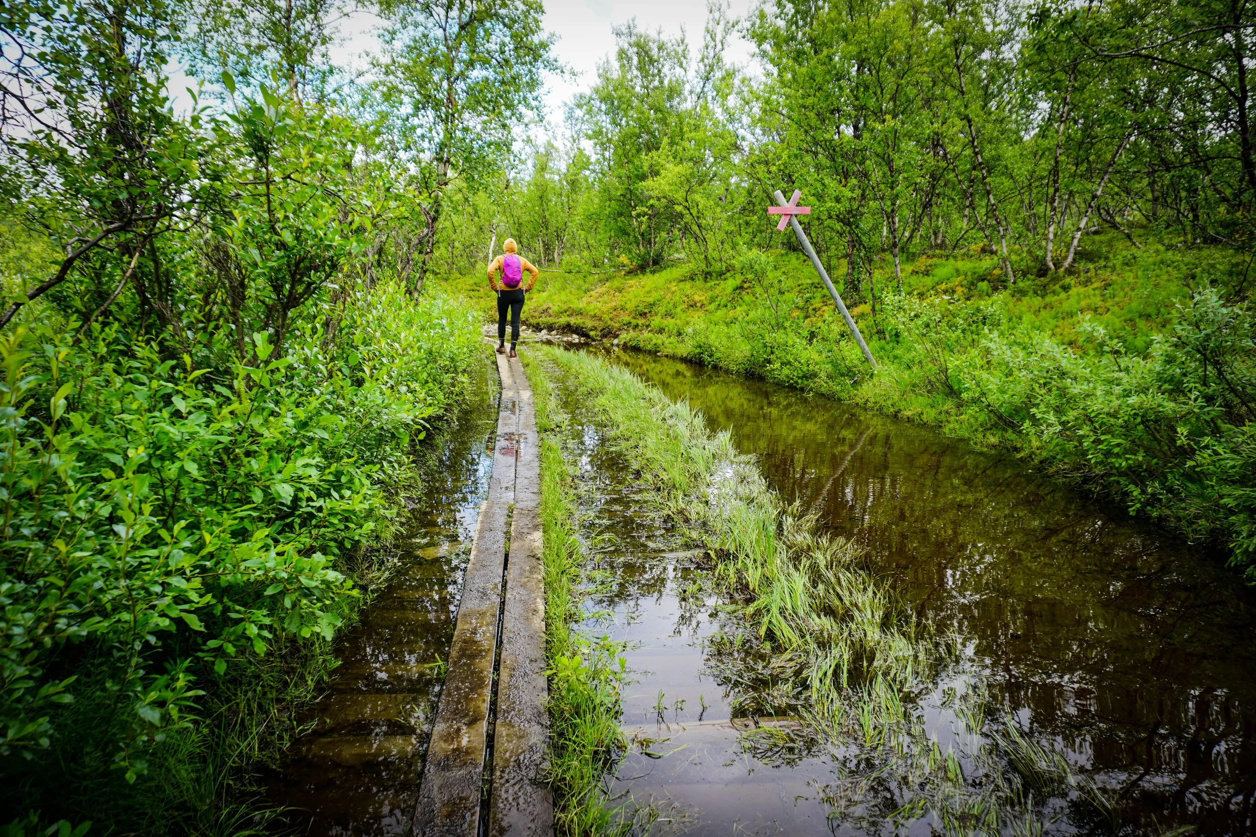 Kings trail Abisko 8.jpg