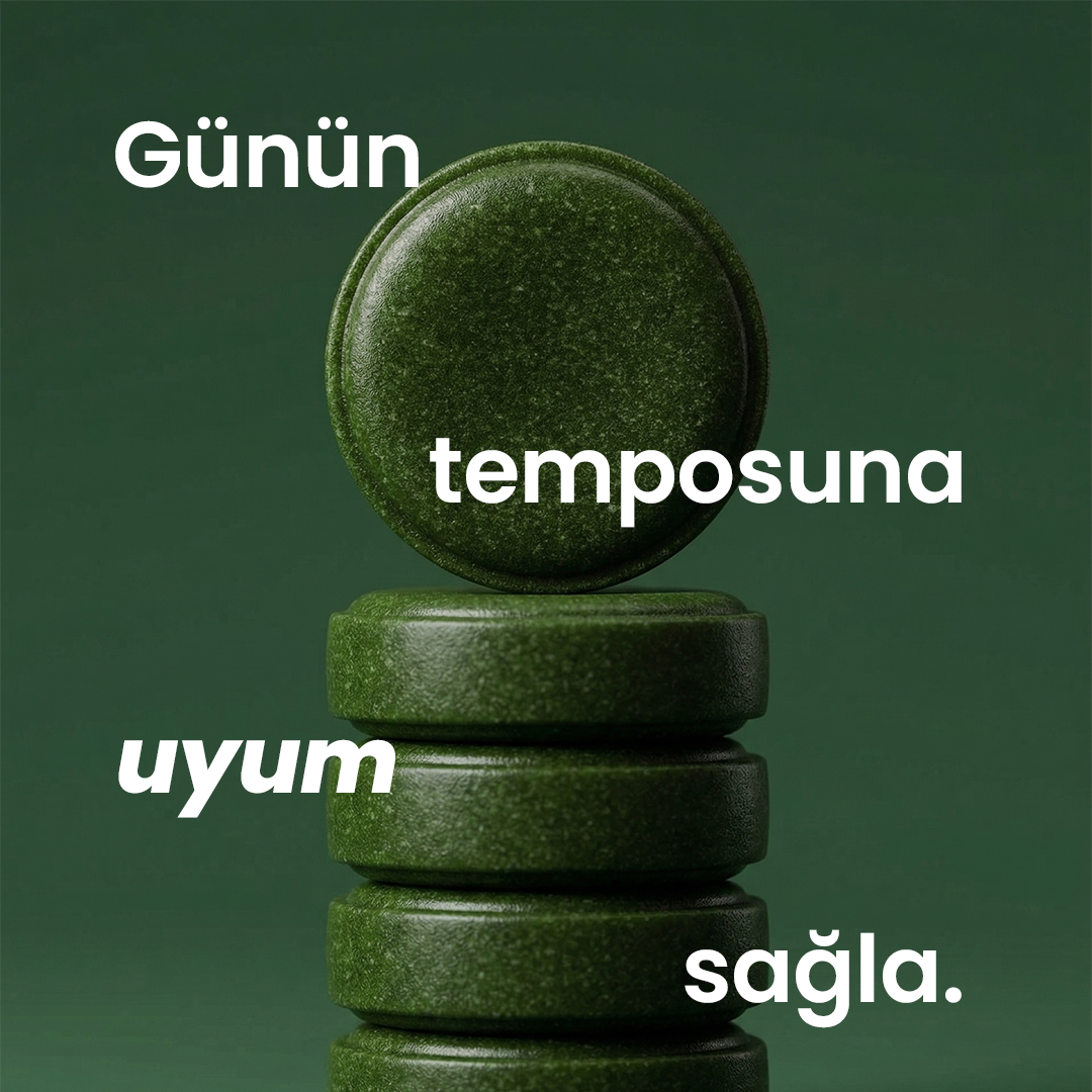 06.png