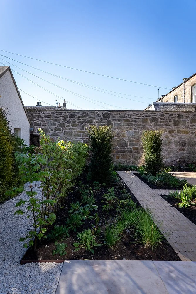 A backyard garden with a stone pathway, small shrubs, and a stone wall in the background under a clear blue sky.